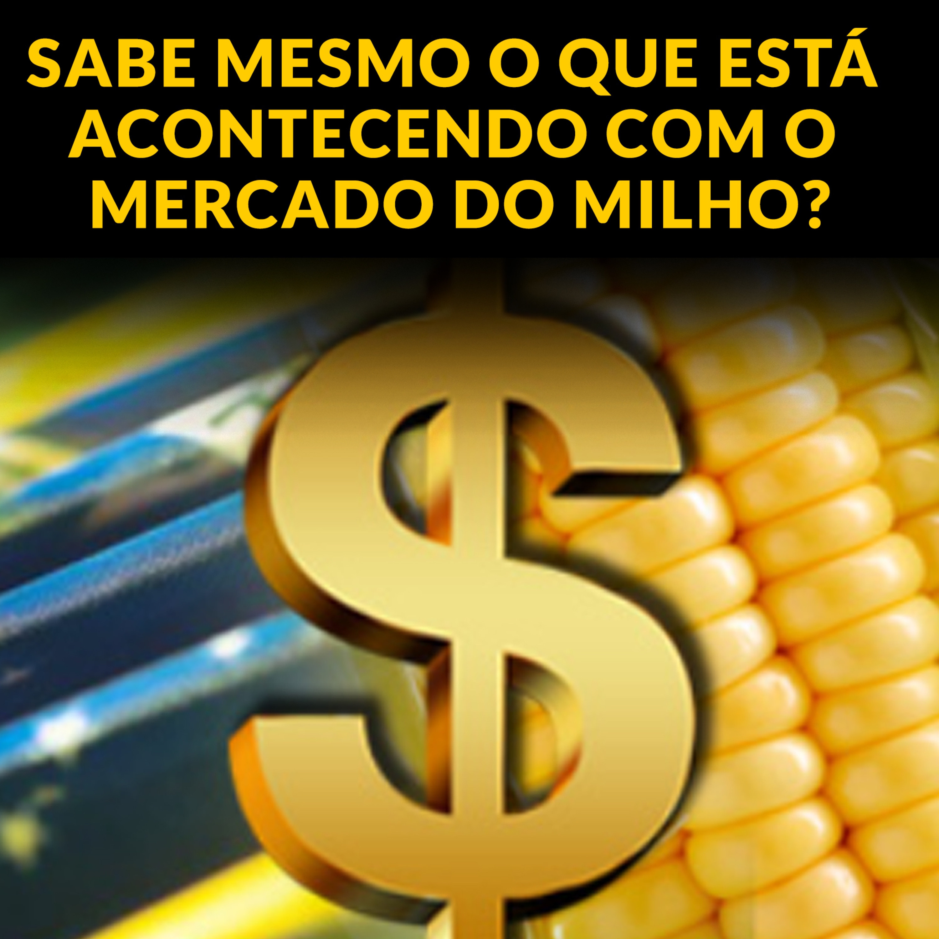 SABE MESMO O QUE ESTÁ ACONTECENDO COM O MERCADO DO MILHO? episode artwork