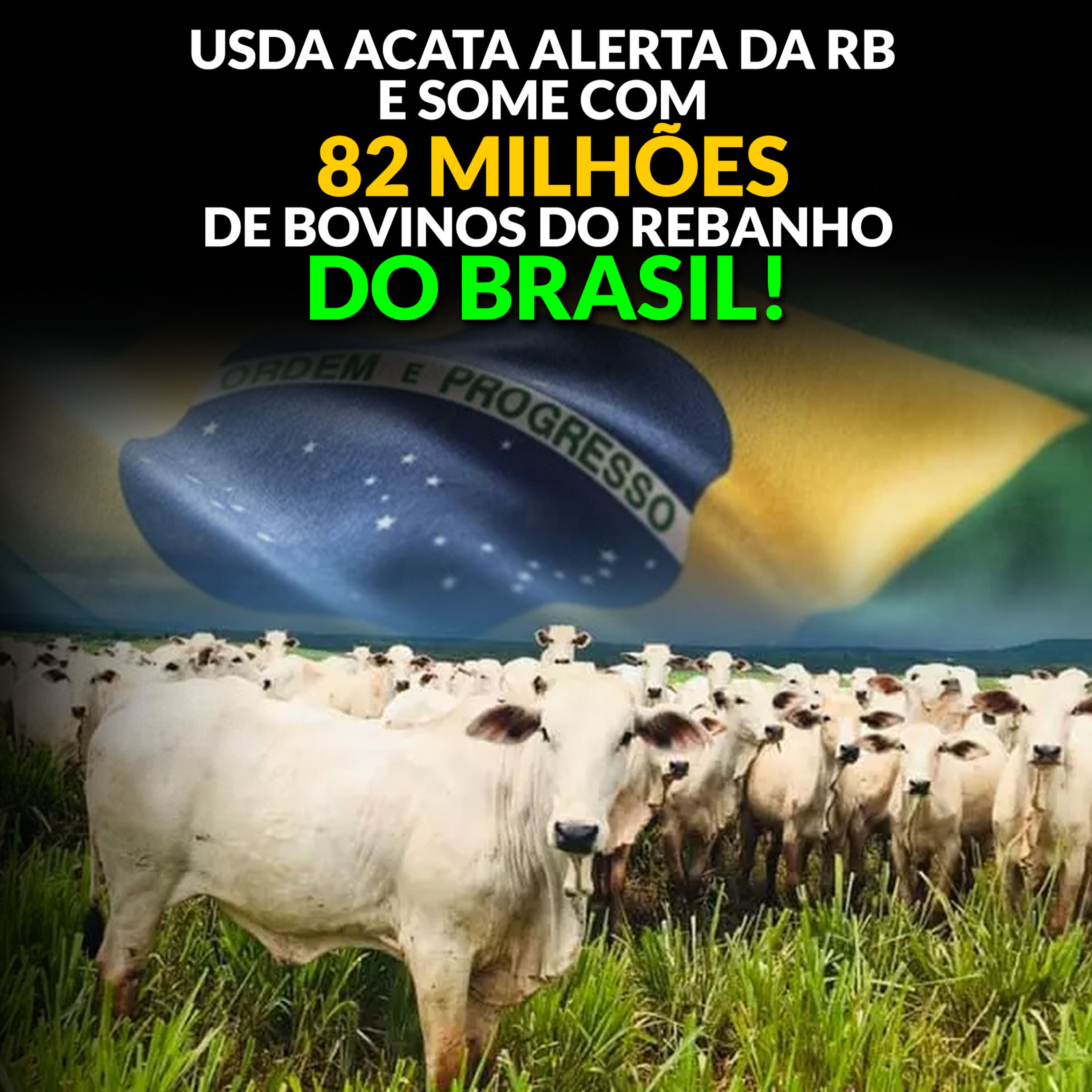 USDA ACATA ALERTA DA RB E SOME COM 82 MILHÕES DE BOVINOS DO REBANHO DO BRASIL! episode artwork