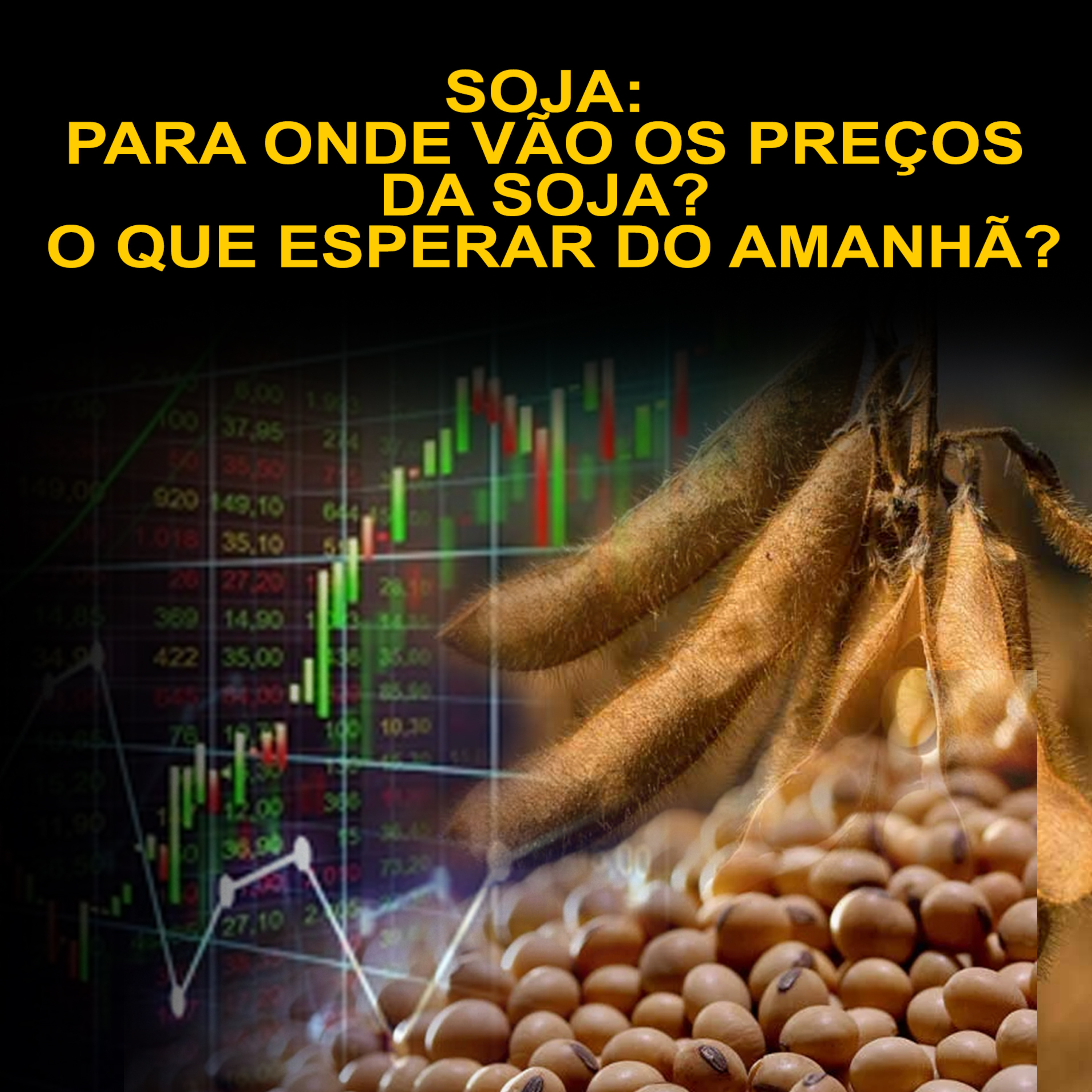 SOJA: PARA ONDE VÃO OS PREÇOS DA SOJA? O QUE ESPERAR DO AMANHÃ? episode artwork