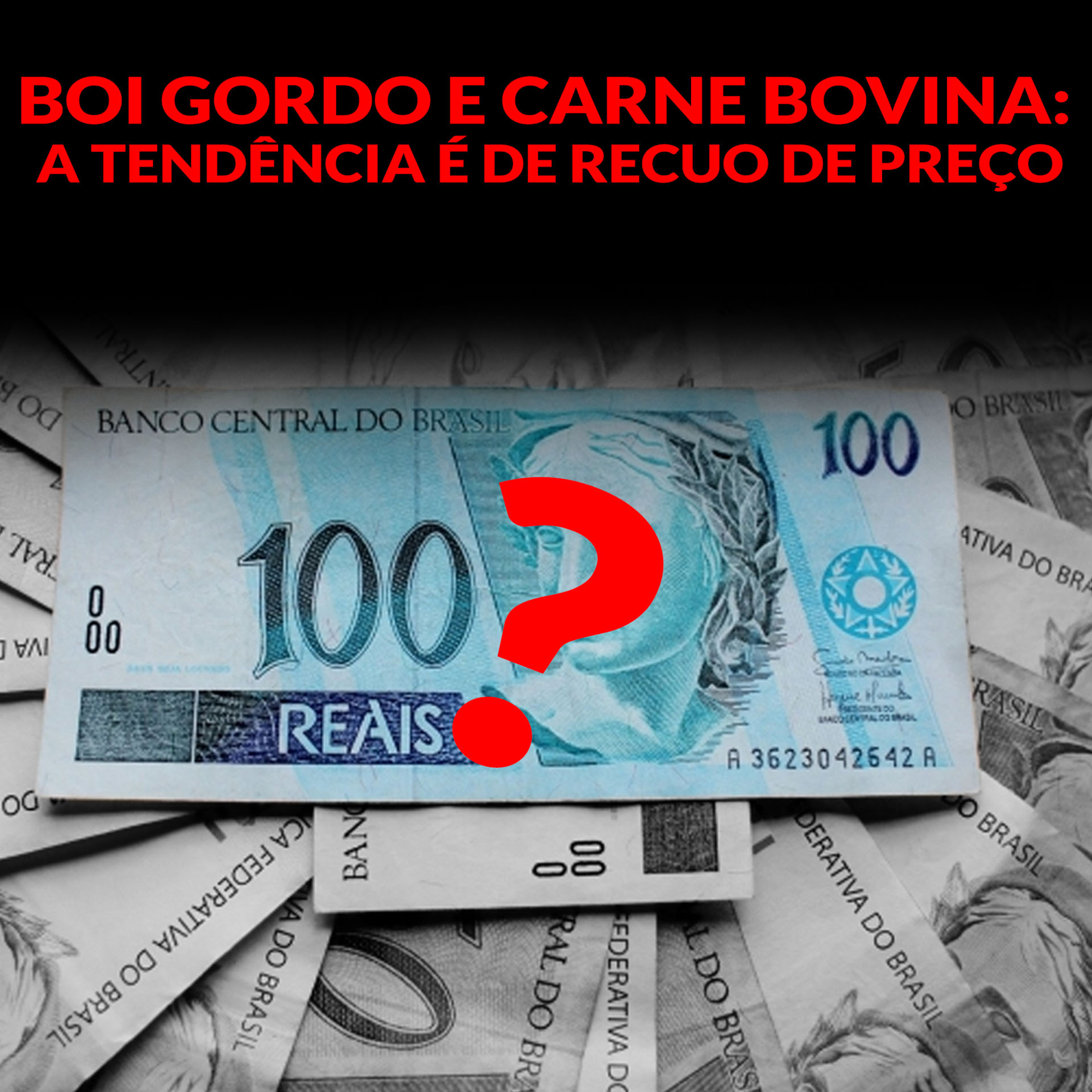 BOI GORDO E CARNE BOVINA: A TENDÊNCIA É DE RECUO DE PREÇO?