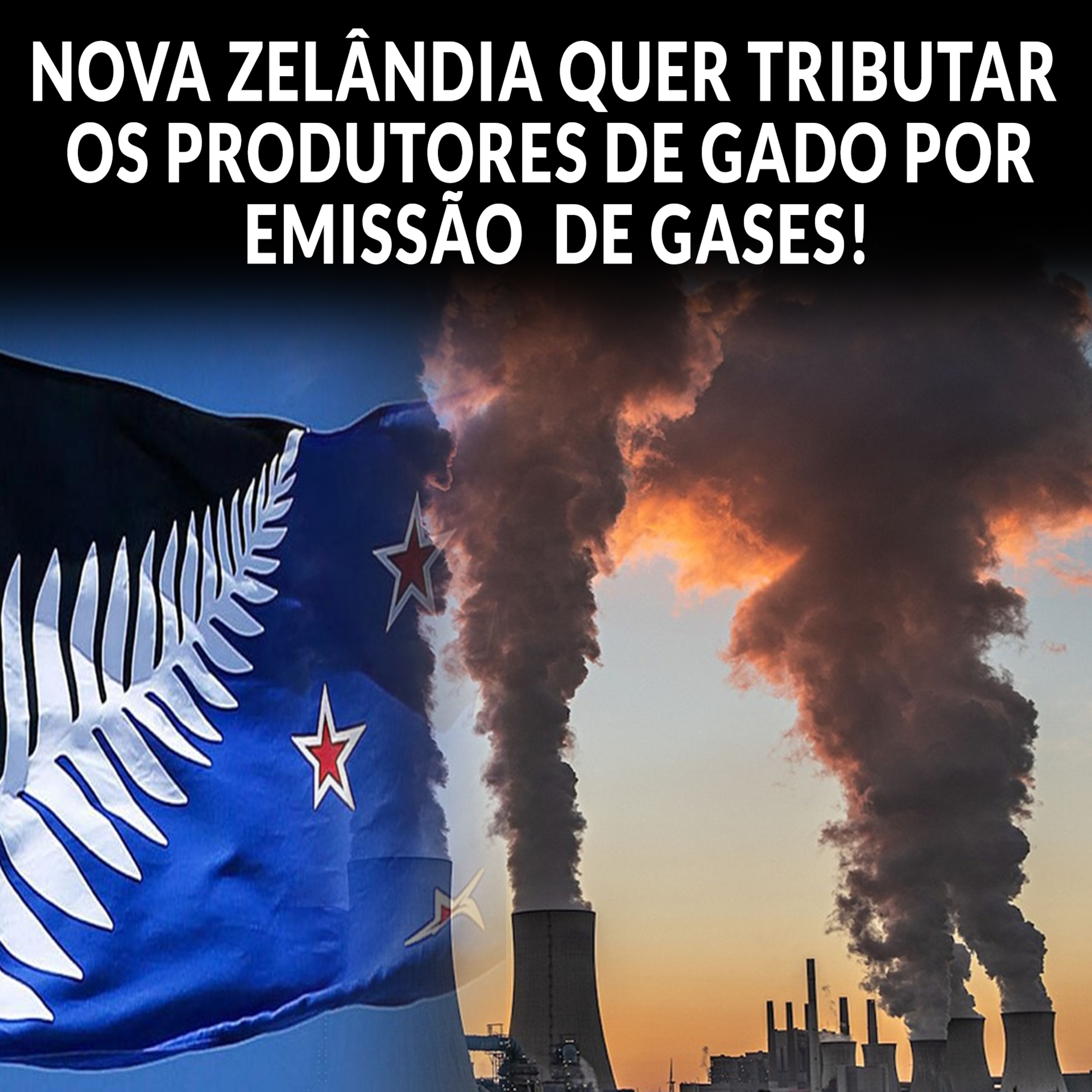 NOVA ZELÂNDIA QUER TRIBUTAR OS PRODUTORES DE GADO POR EMISSÃO DE GASES! episode artwork
