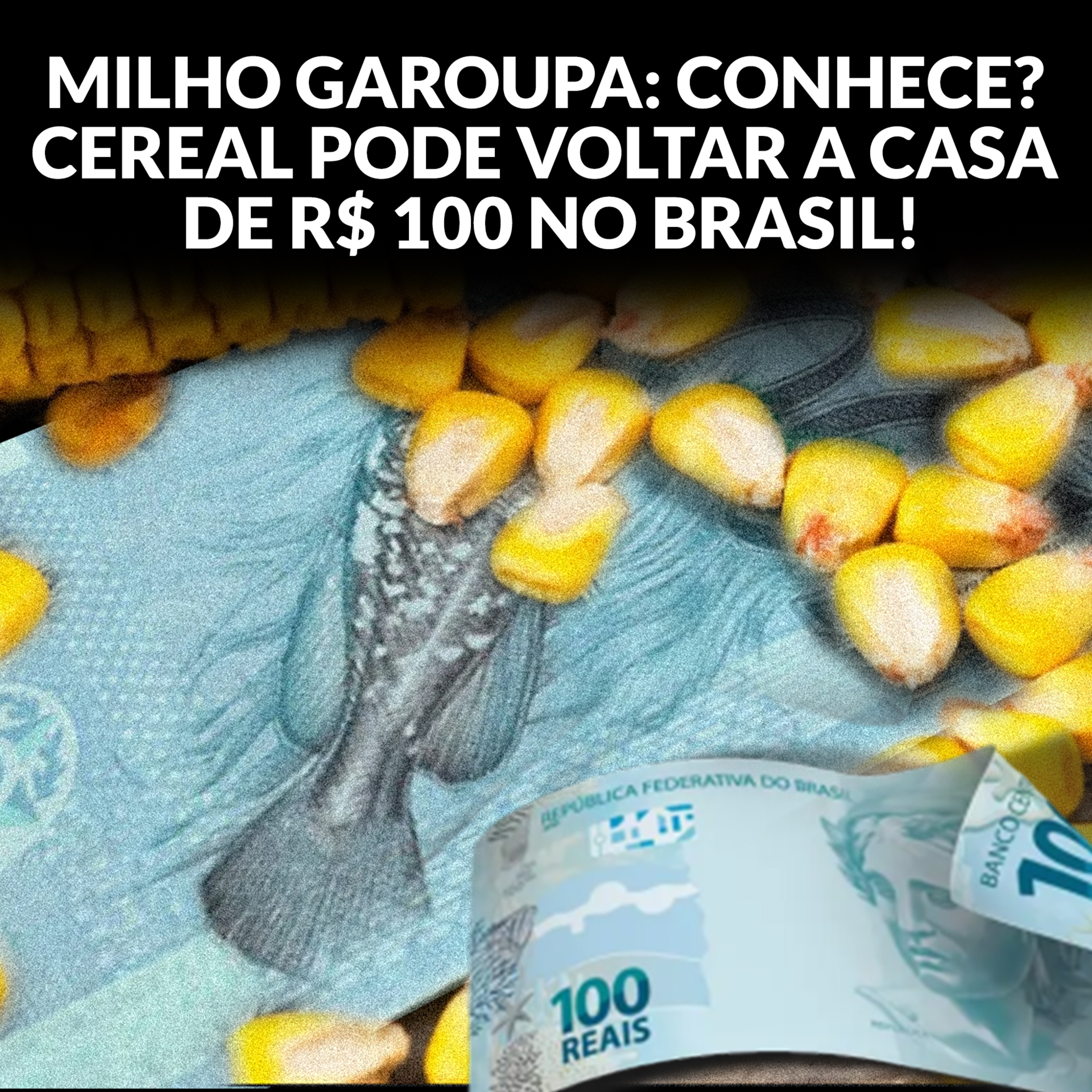 MILHO GAROUPA: CONHECE? CEREAL PODE VOLTAR A CASA DE R$ 100 NO BRASIL! episode artwork