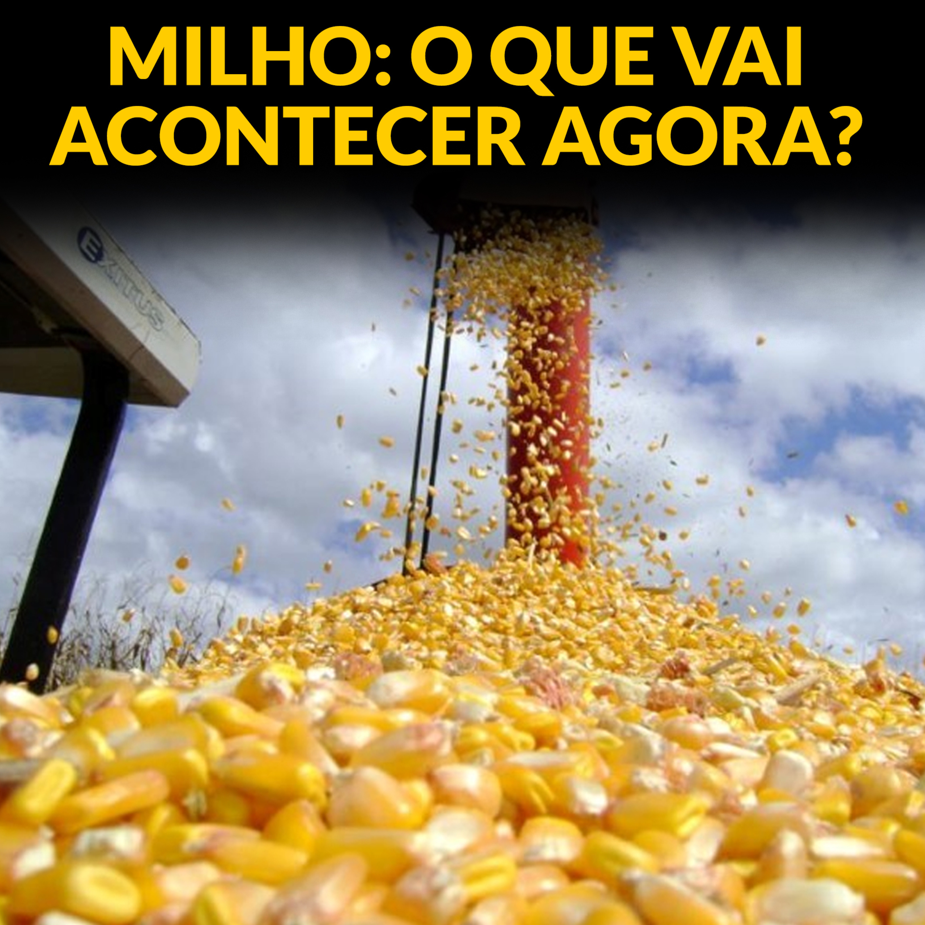 MILHO: O QUE VAI ACONTECER AGORA? episode artwork