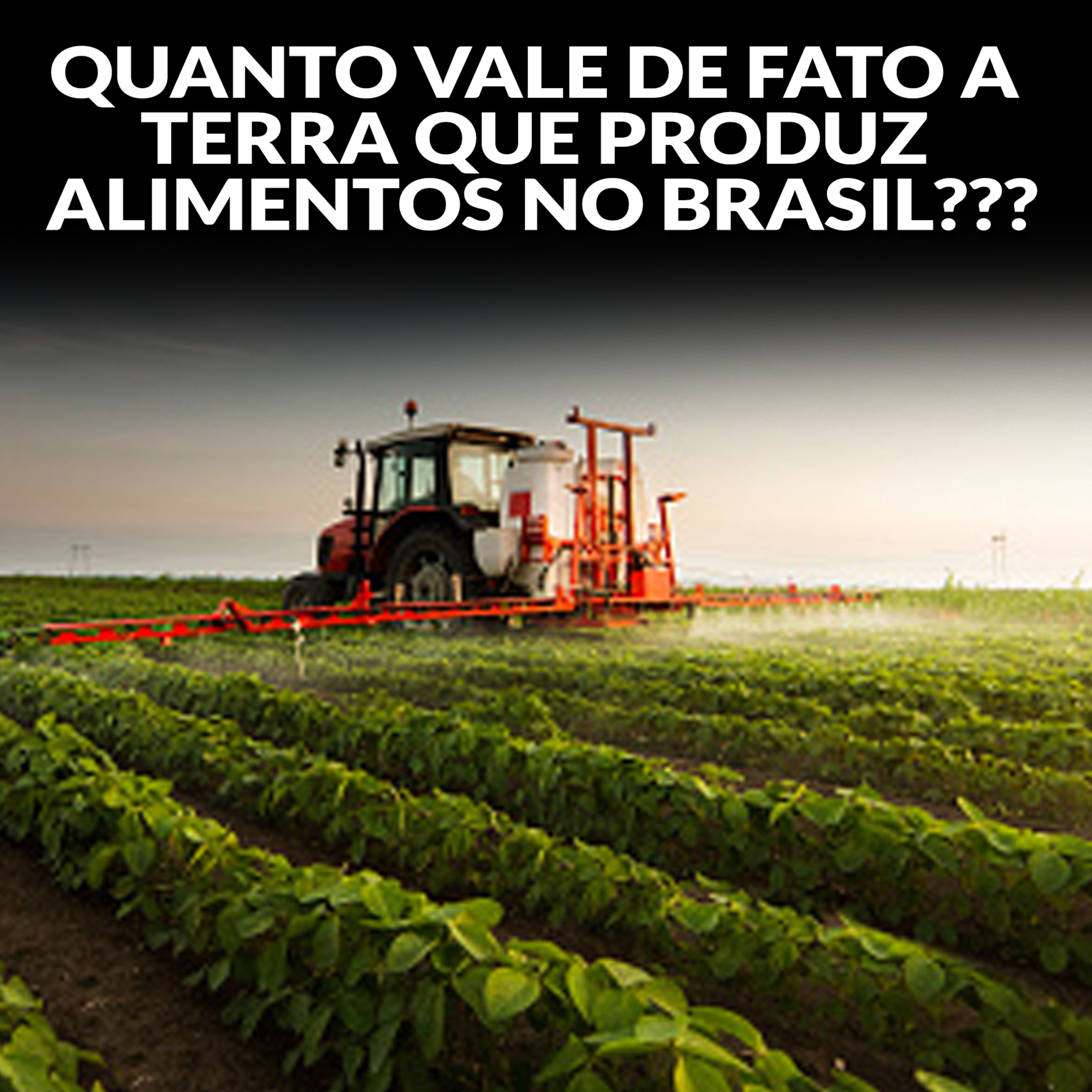 QUANTO VALE DE FATO A TERRA QUE PRODUZ ALIMENTOS NO BRASIL??? episode artwork