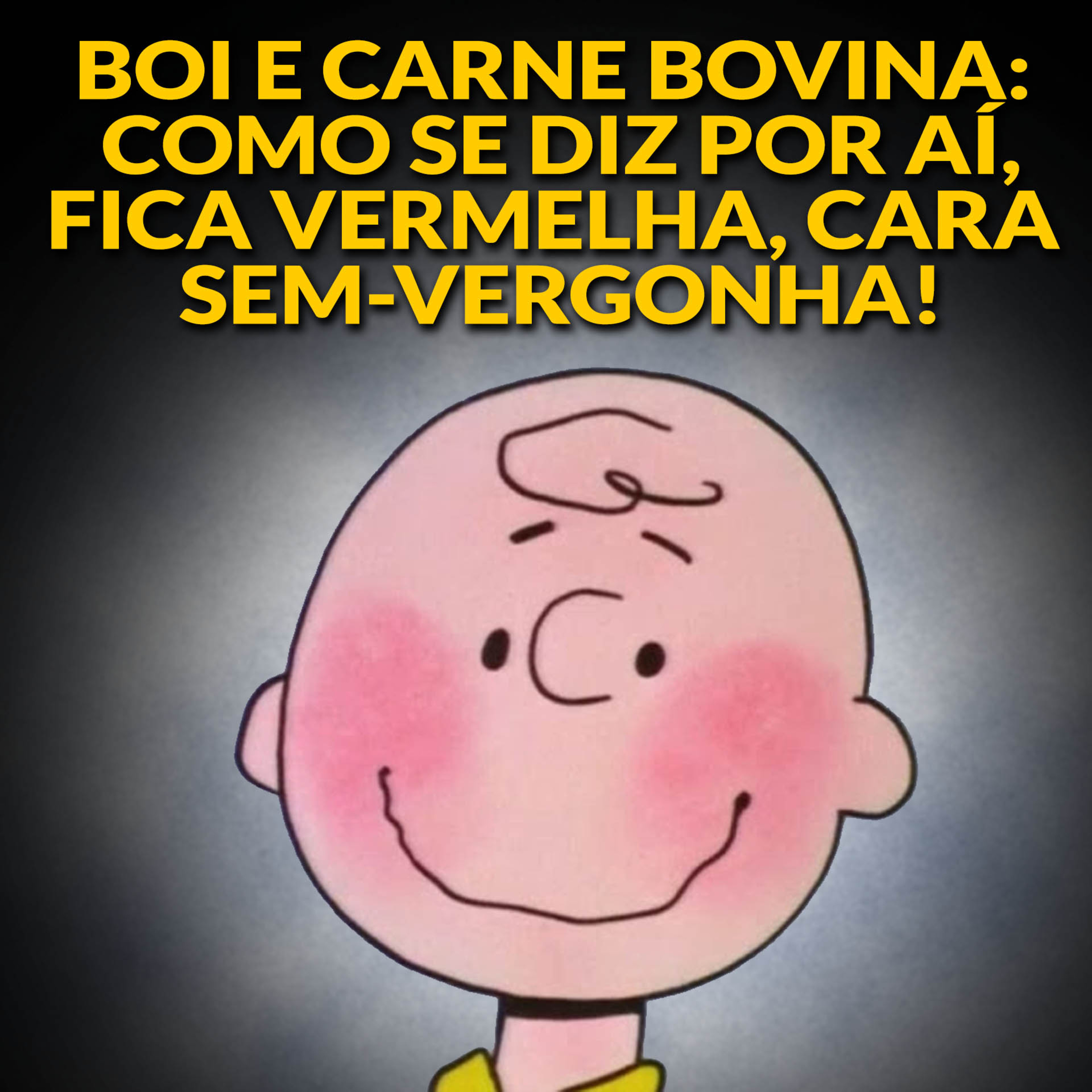 BOI E CARNE BOVINA: COMO SE DIZ POR AÍ, FICA VERMELHA, CARA SEM-VERGONHA! episode artwork