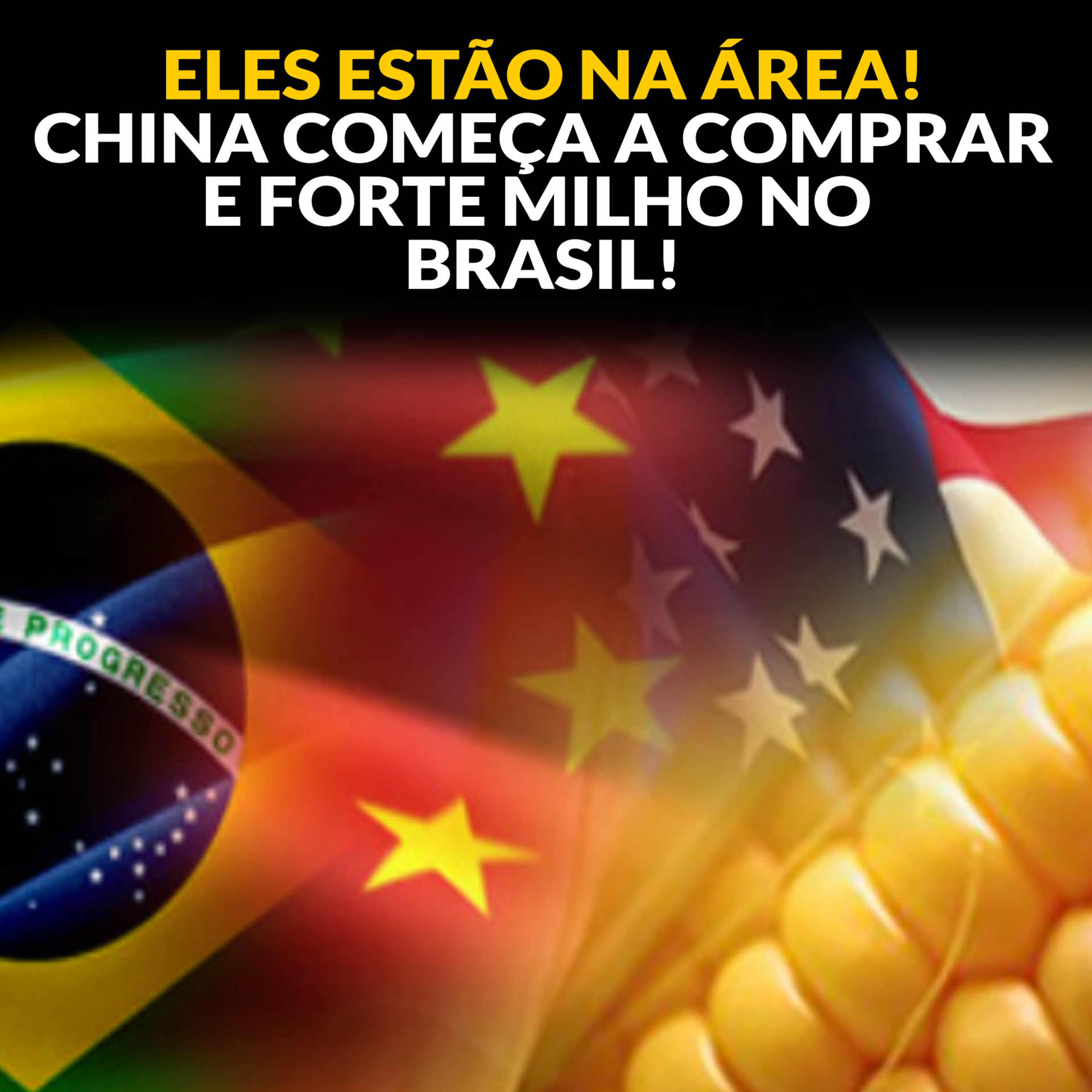 ELES ESTÃO NA ÁREA! CHINA COMEÇA A COMPRAR E FORTE MILHO NO BRASIL! episode artwork