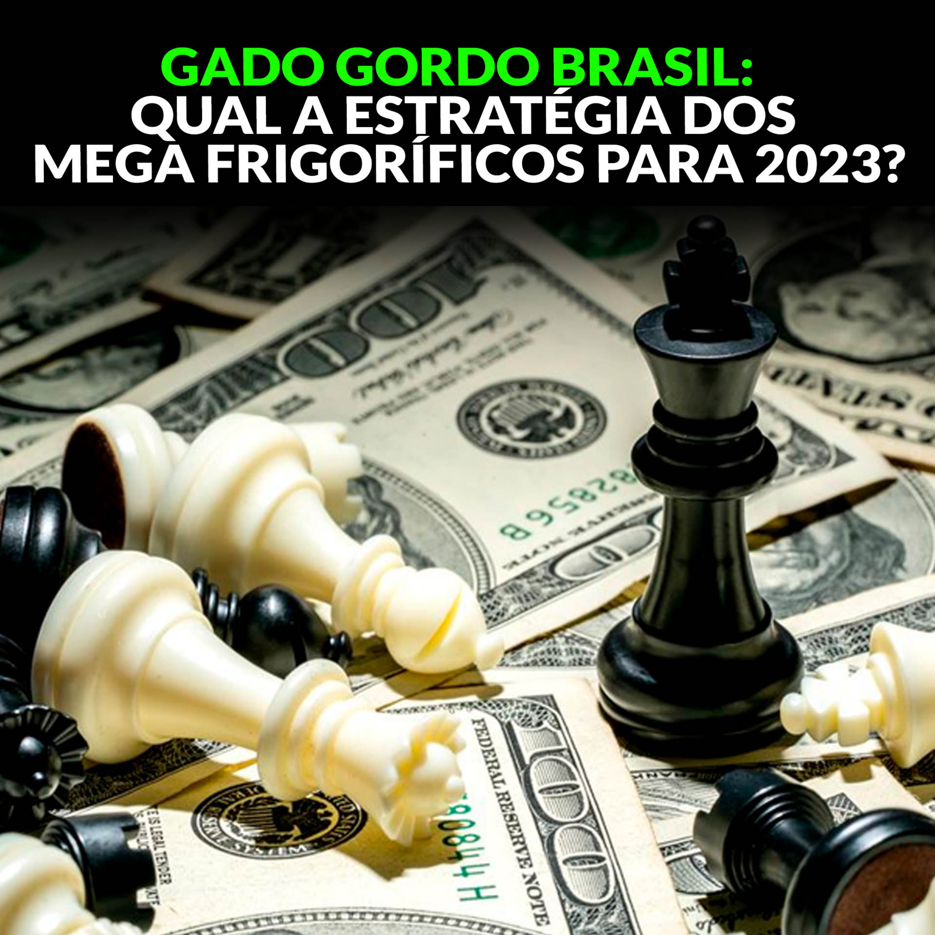 GADO GORDO BRASIL: QUAL A ESTRATÉGIA DOS MEGA FRIGORÍFICOS PARA 2023? episode artwork