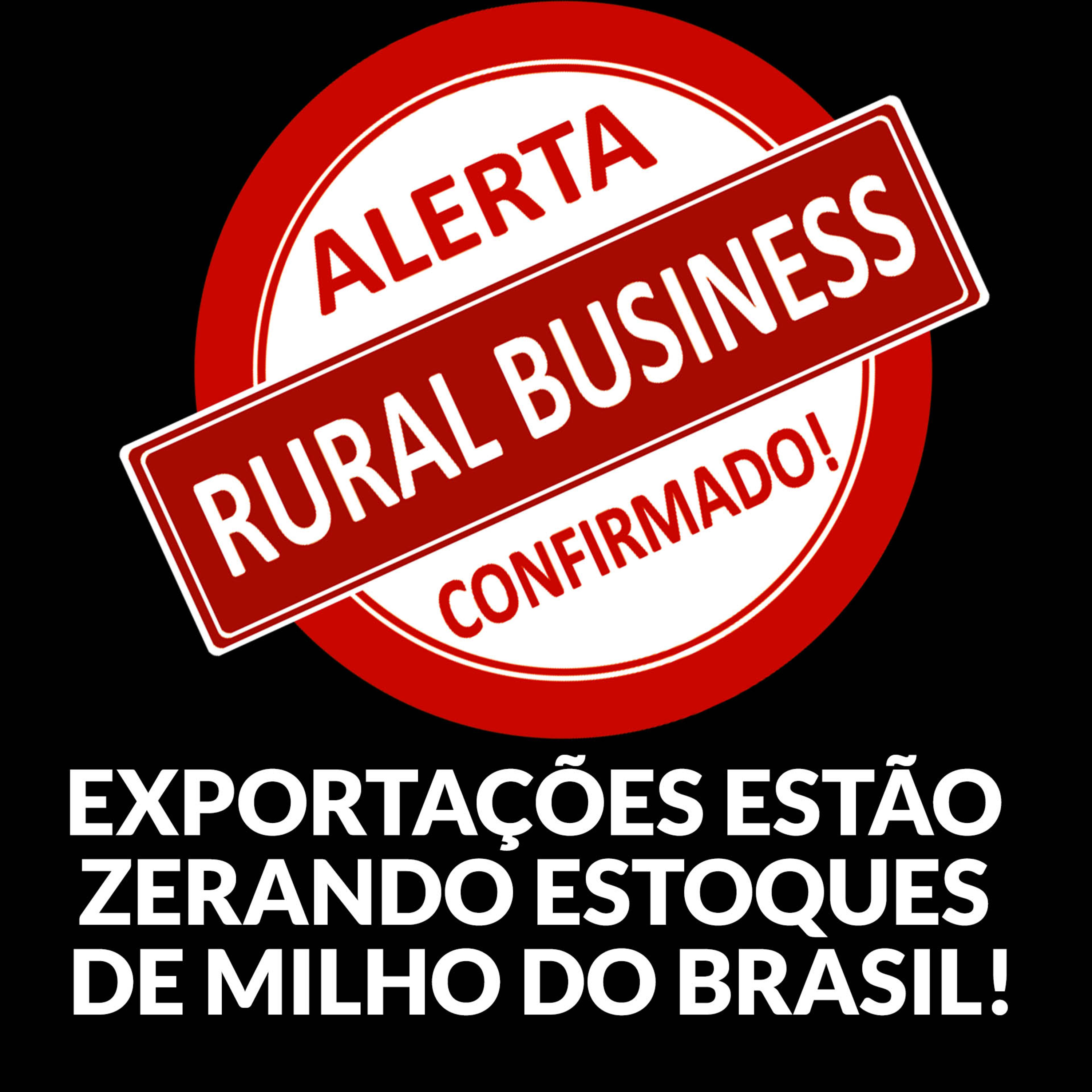 EXPORTAÇÕES ESTÃO ZERANDO ESTOQUES DE MILHO DO BRASIL! ALERTA RURAL BUSINESS CONFIRMADO! episode artwork