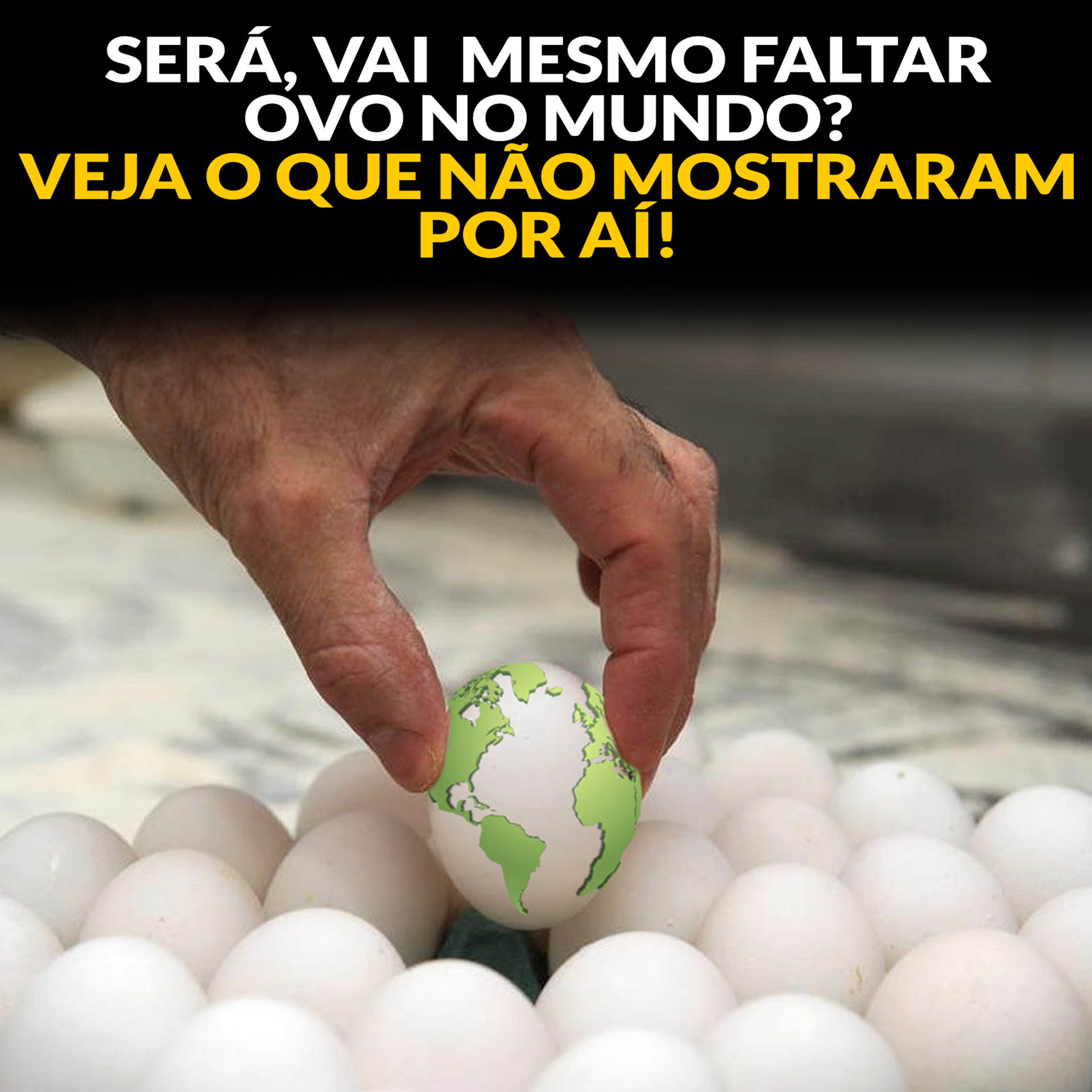 SERÁ VAI MESMO FALTAR OVO NO MUNDO? VEJA O QUE NÃO MOSTRARAM POR AÍ! episode artwork