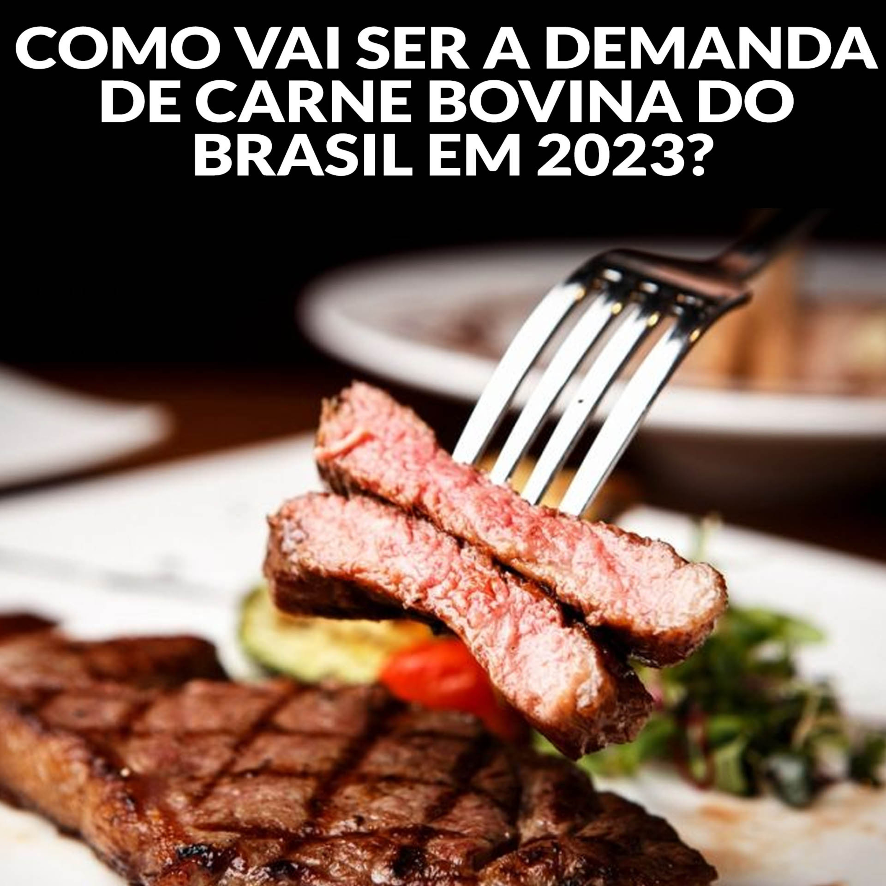 COMO VAI SER A DEMANDA DE CARNE BOVINA DO BRASIL EM 2023? episode artwork