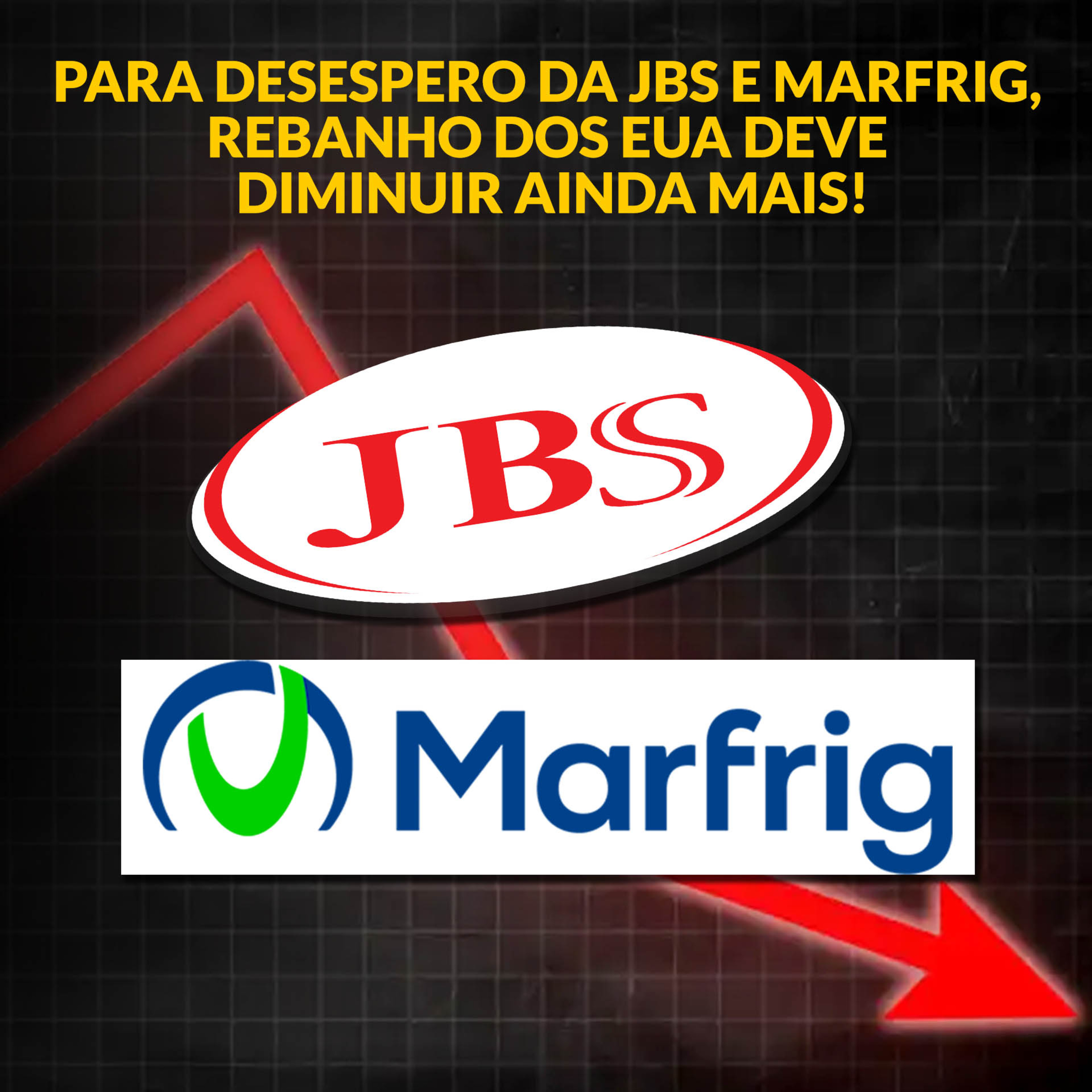 PARA DESESPERO DA JBS E MARFRIG, REBANHO DOS EUA DEVE DIMINUIR AINDA MAIS! episode artwork