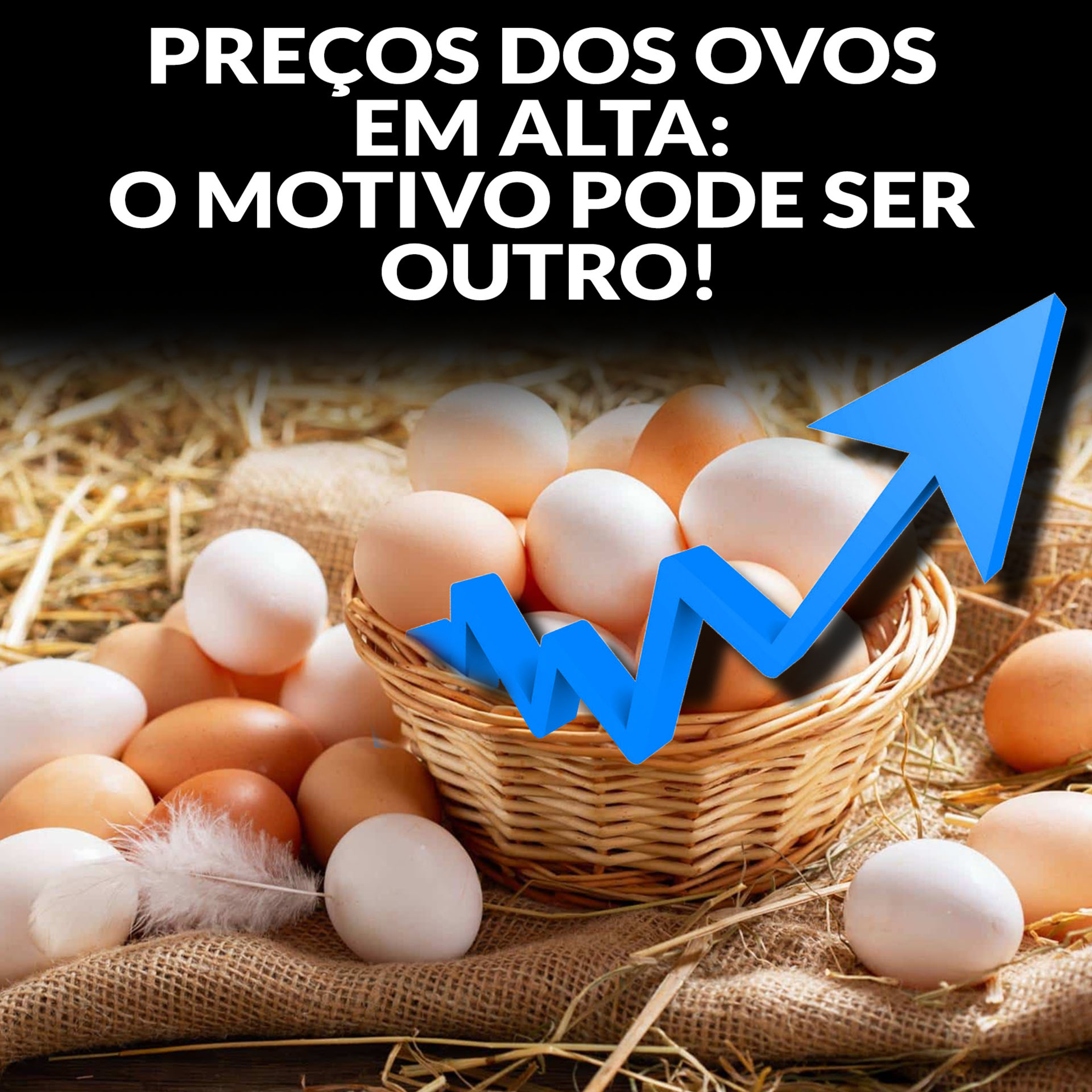 PREÇOS DOS OVOS EM ALTA: O MOTIVO PODE SER OUTRO! episode artwork