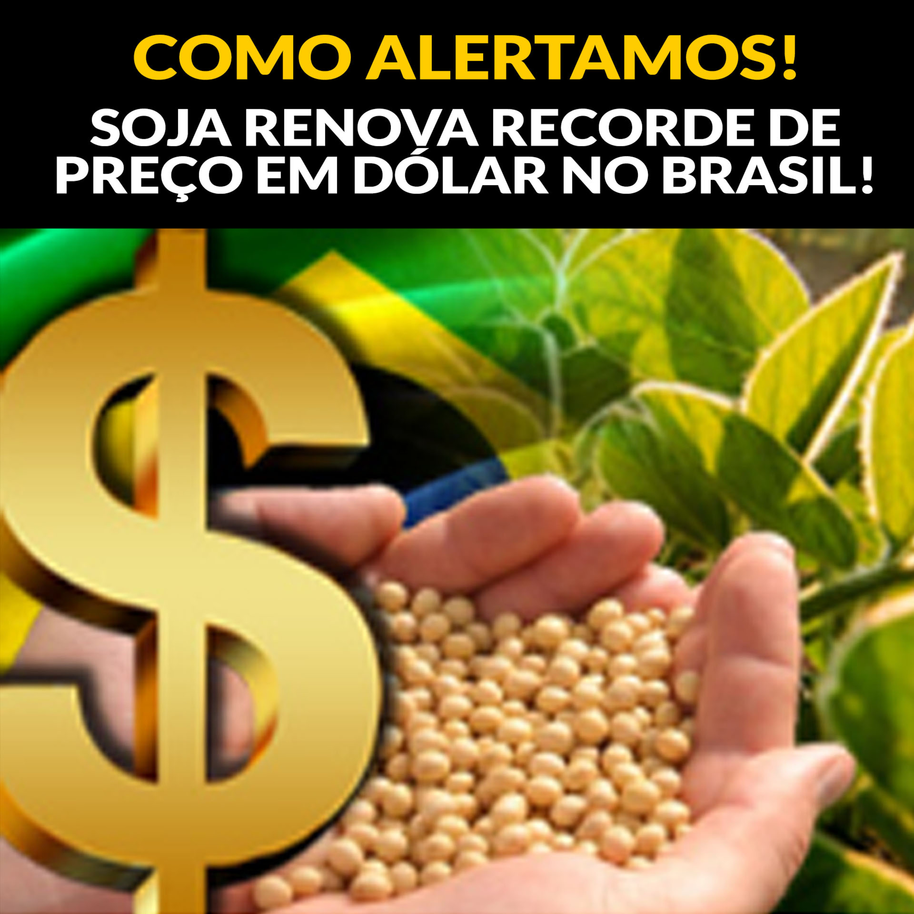 COMO ALERTAMOS! SOJA RENOVA RECORDE DE PREÇO EM DÓLAR NO BRASIL! episode artwork