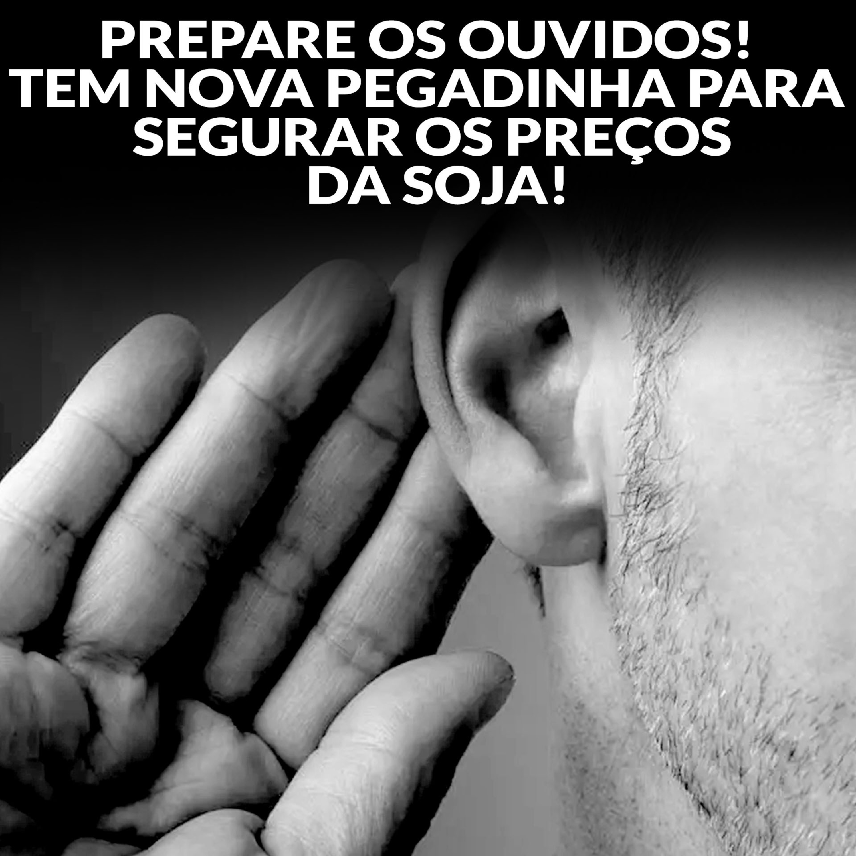 PREPARE OS OUVIDOS! TEM NOVA PEGADINHA PARA SEGURAR OS PREÇOS DA SOJA! episode artwork
