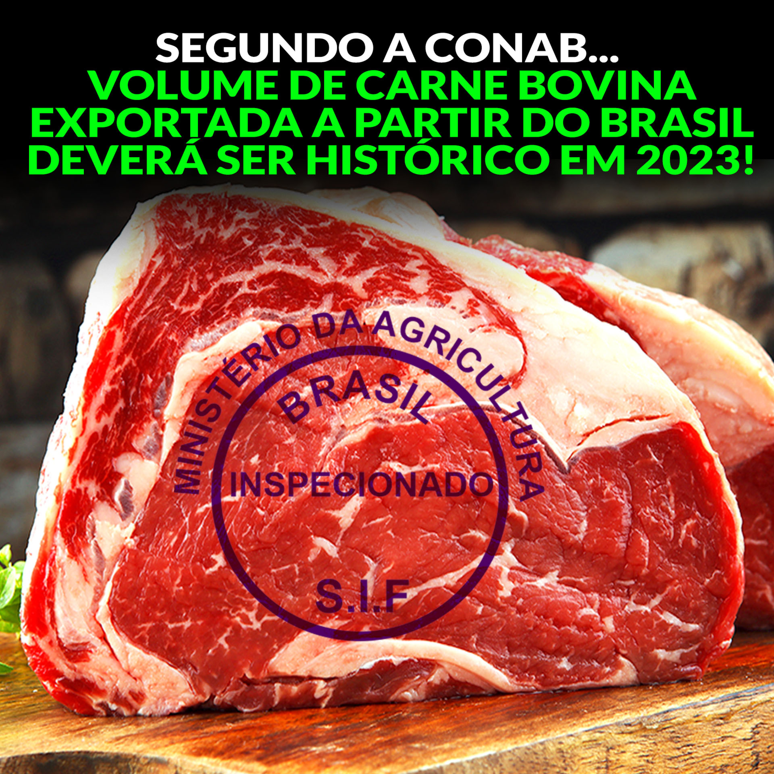 SEGUNDO A CONAB... VOLUME DE CARNE BOVINA EXPORTADA A PARTIR DO BRASIL DEVERÁ SER HISTÓRICO EM 2023! episode artwork