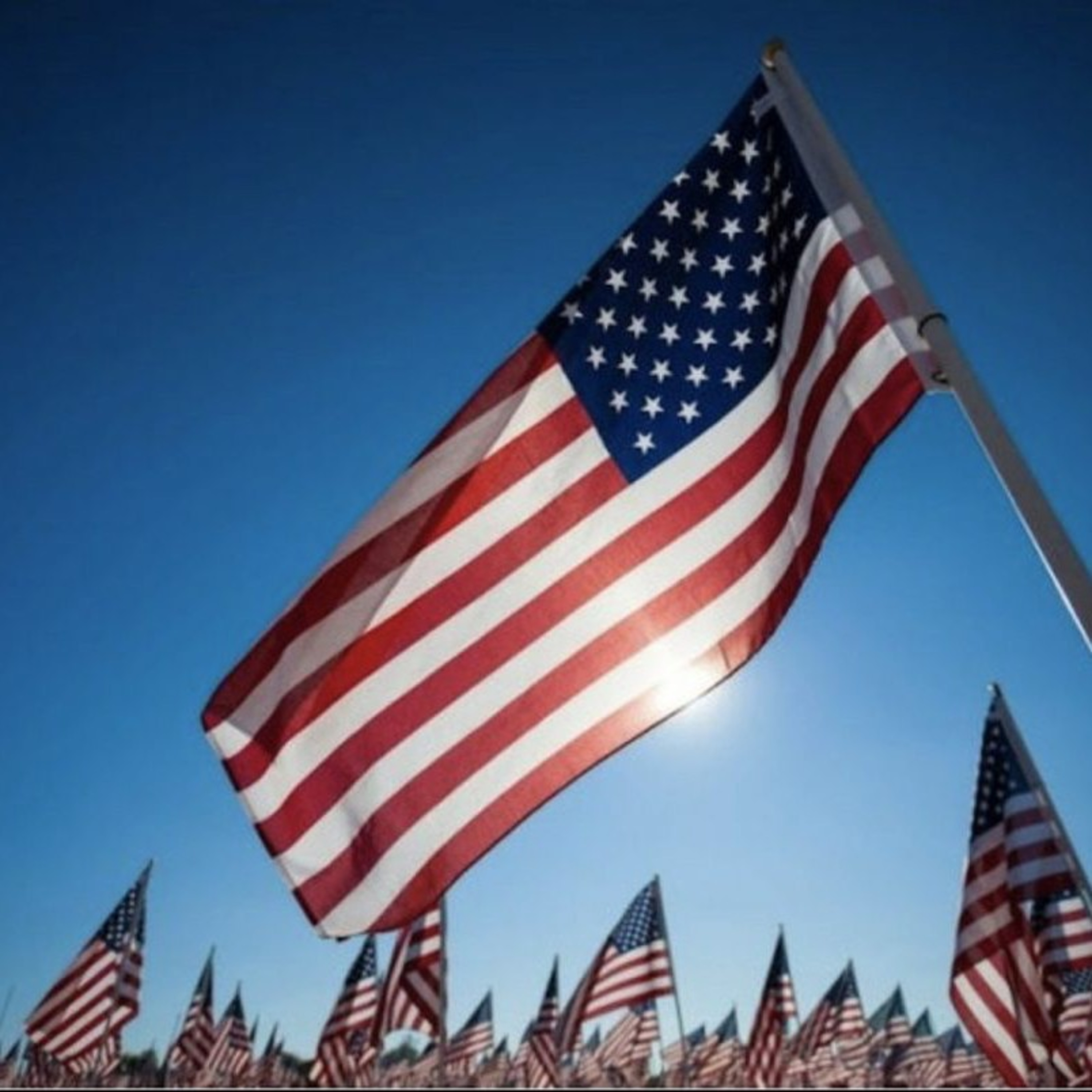 Human Rehab/American rebel: don't count out