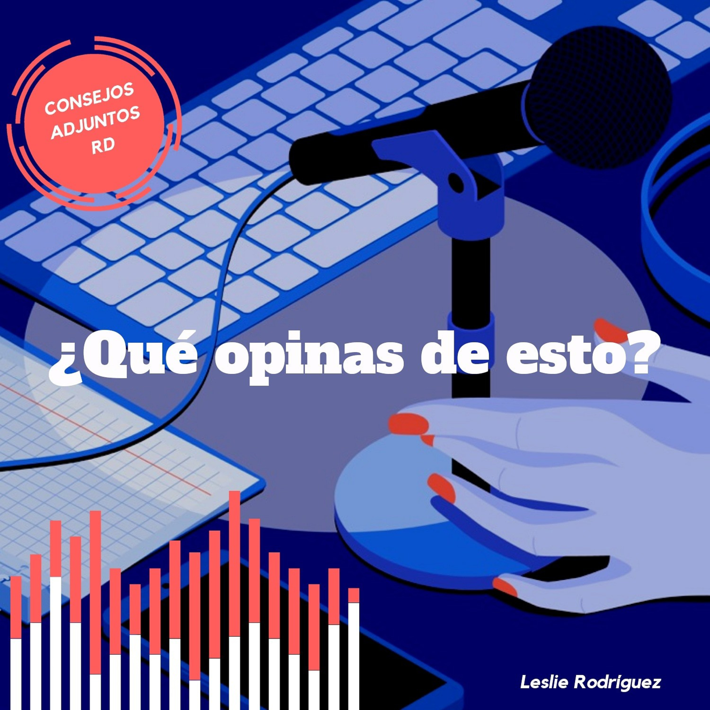 Consejos Adjuntos RD