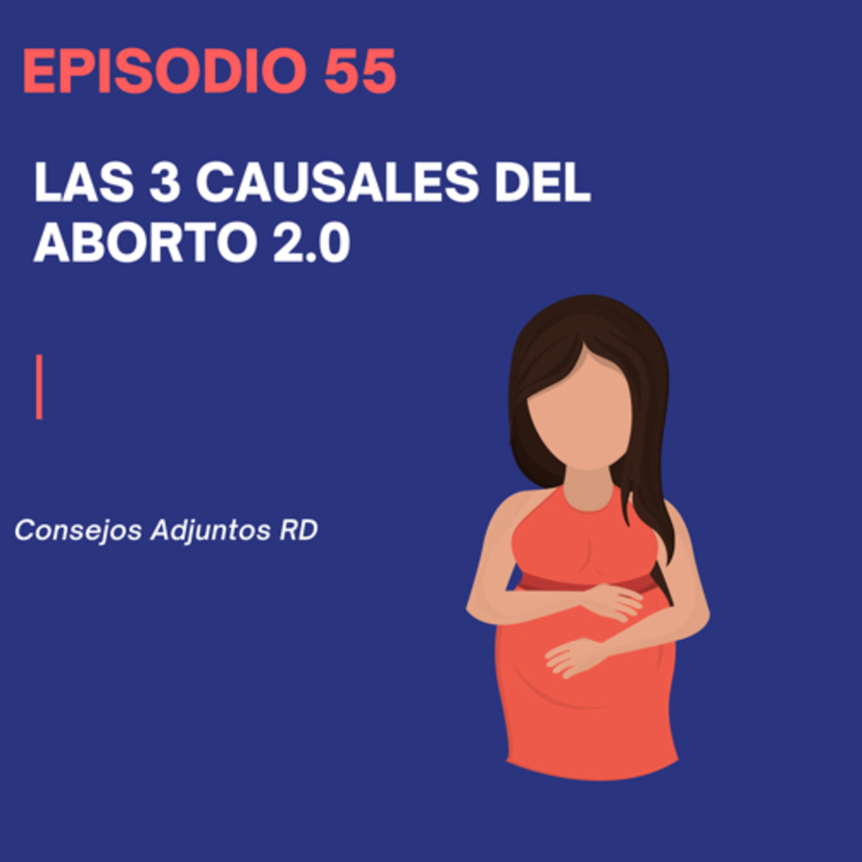 Consejos Adjuntos RD