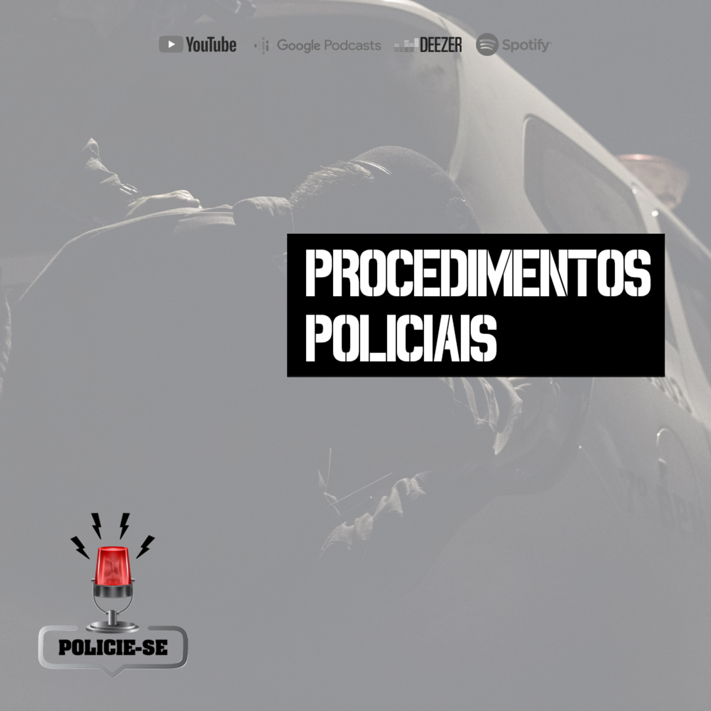 POLICIE-SE