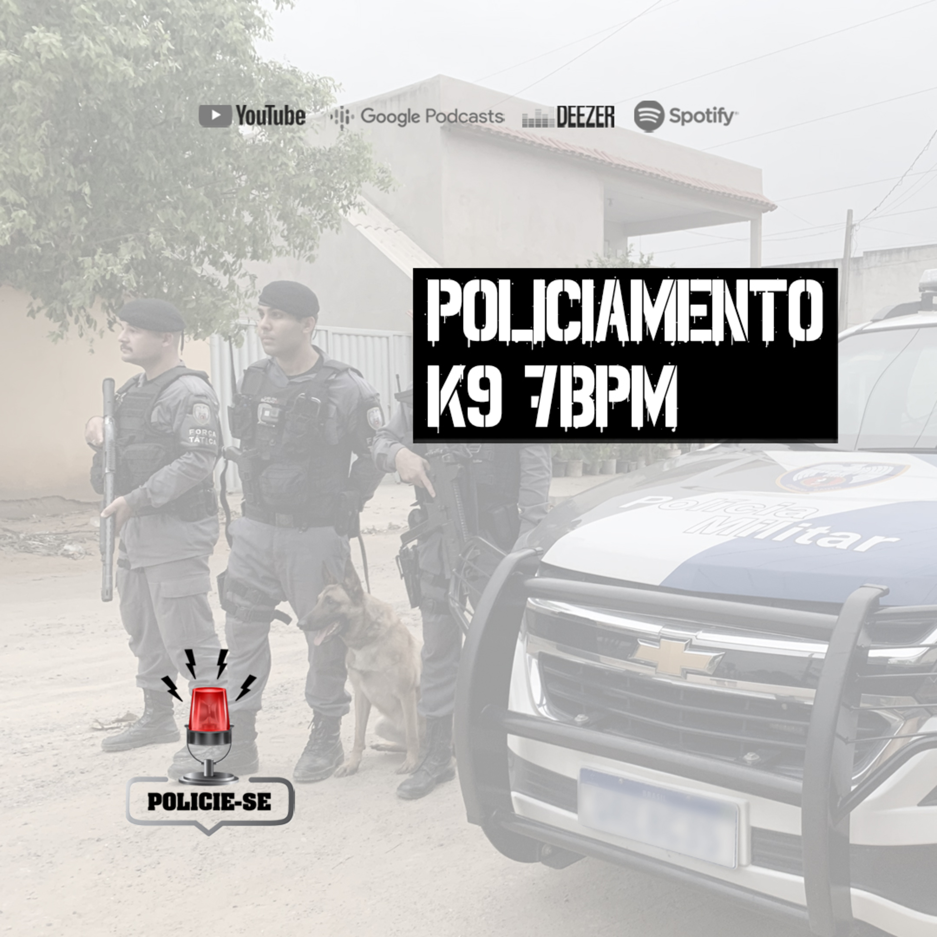 POLICIE-SE