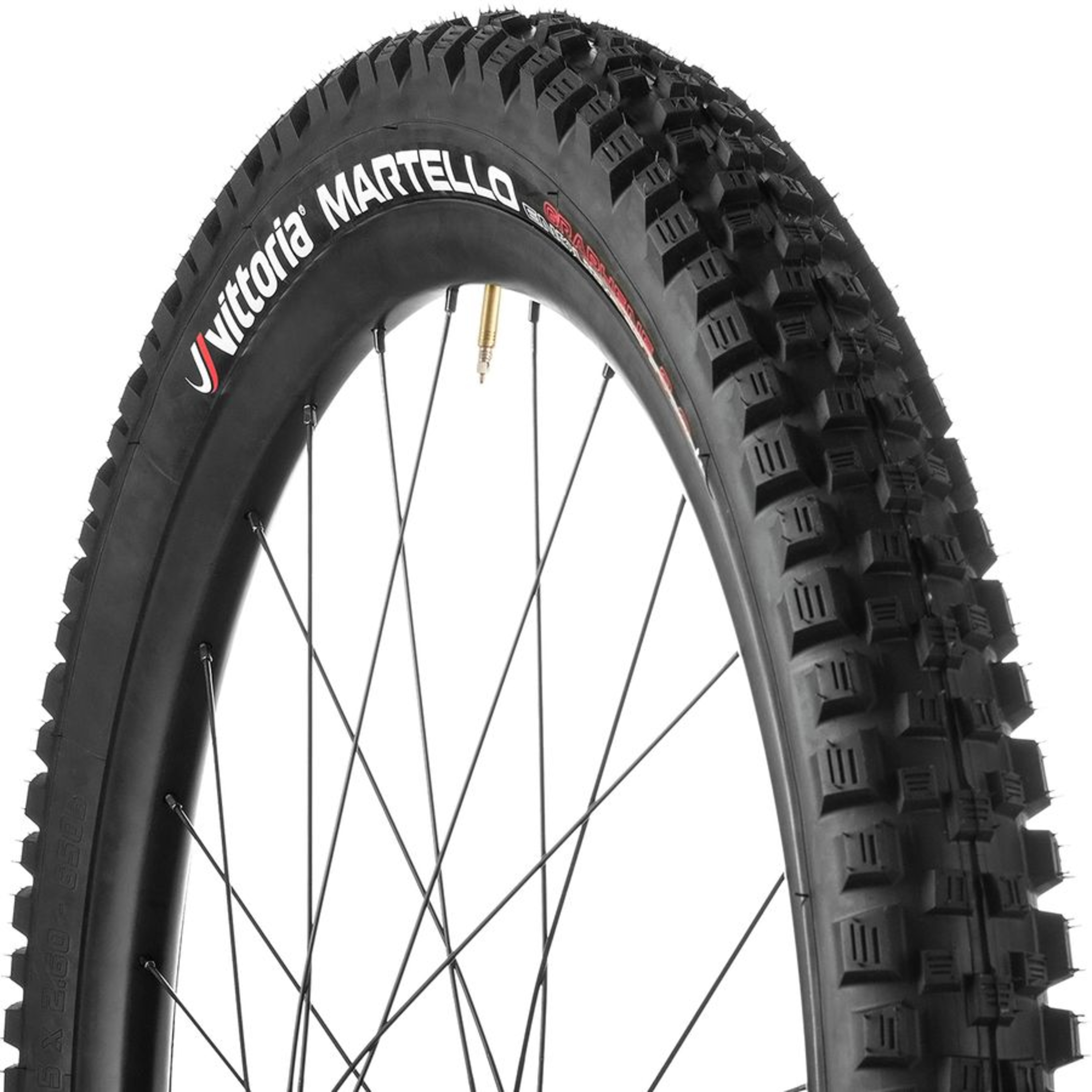 The World\'s Okayest Mountain Bike Podcast