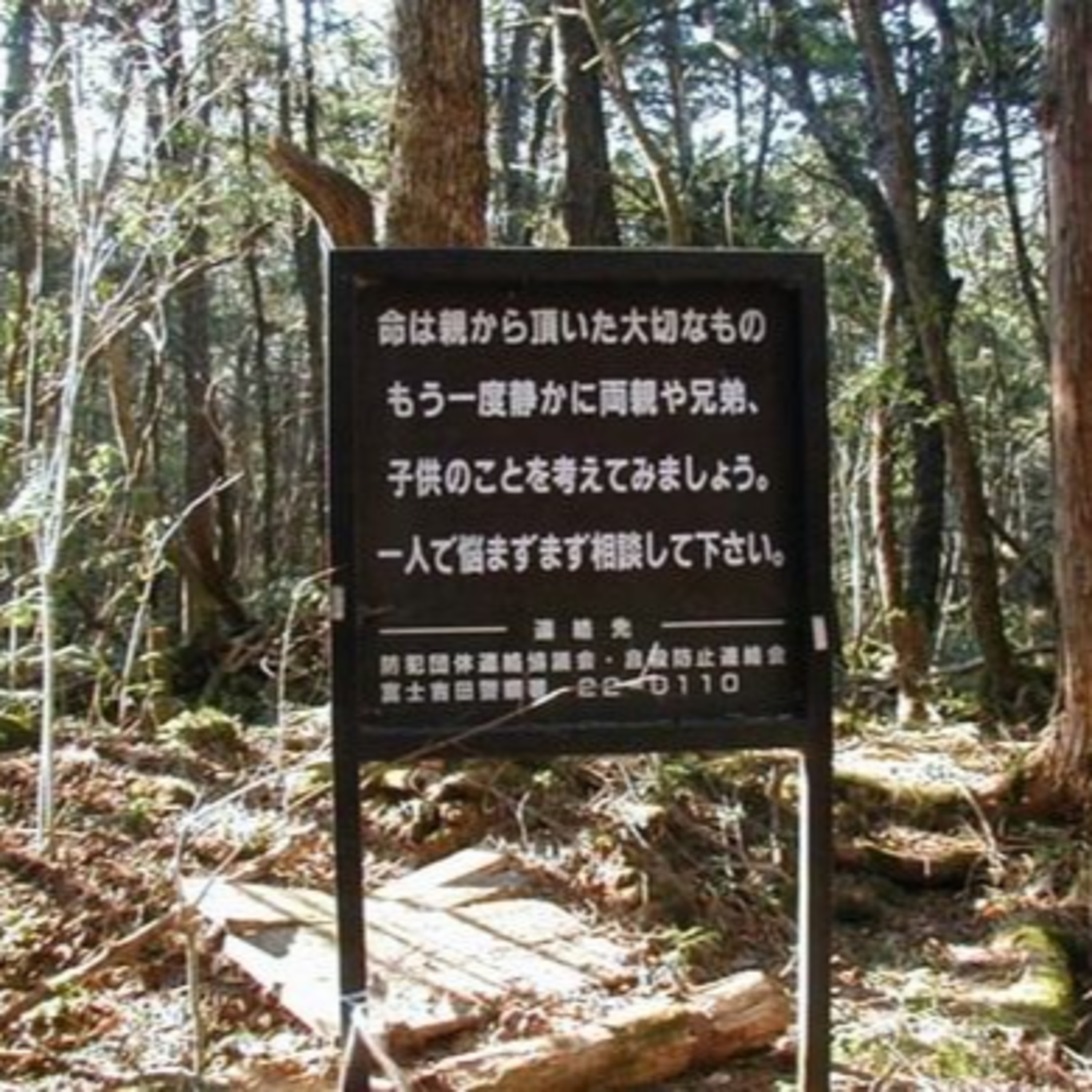 Ep.16 - Aokigahara: A floresta dos suicídios