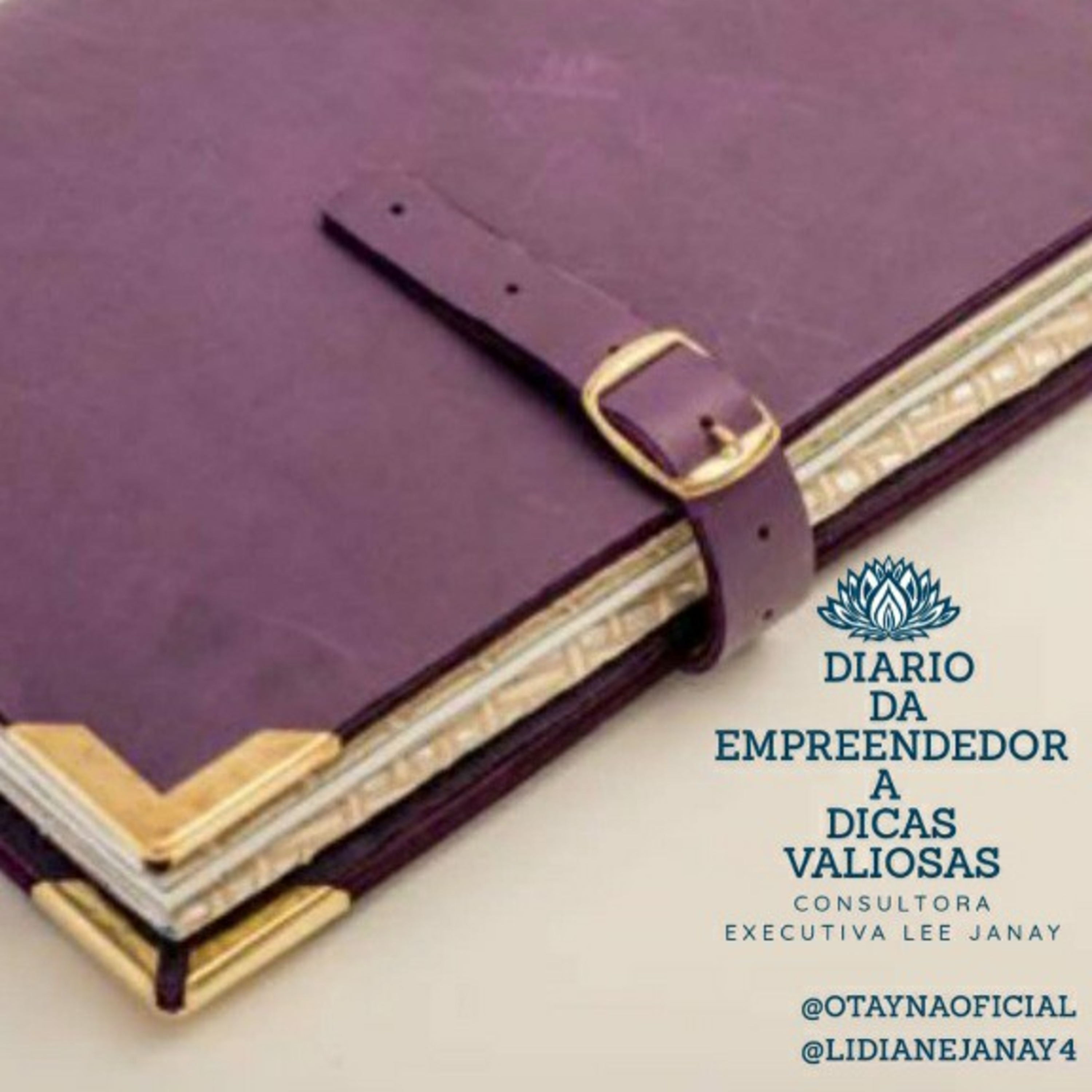 DIARIO DA EMPREENDEDORA  episode artwork