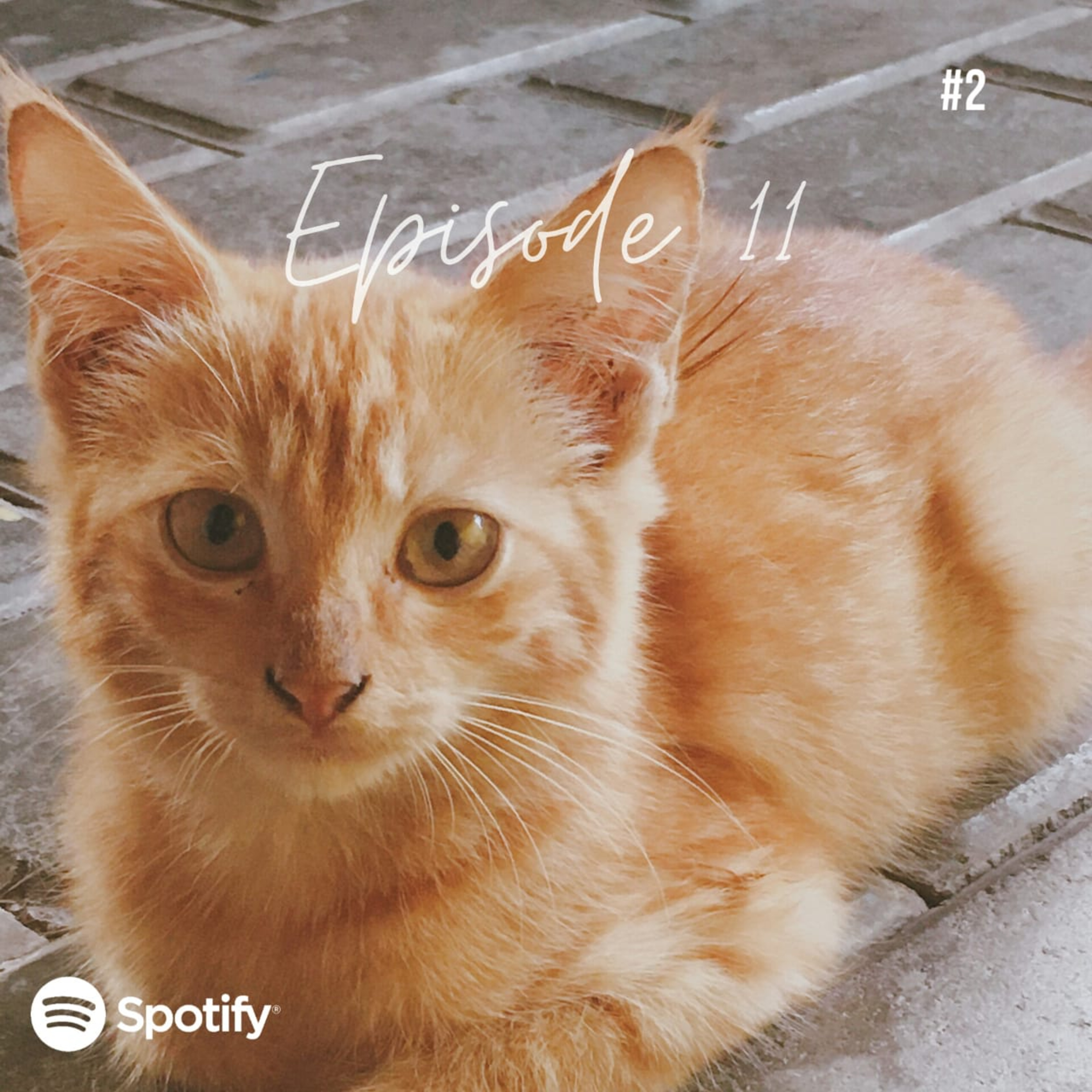 Katanya Podcast