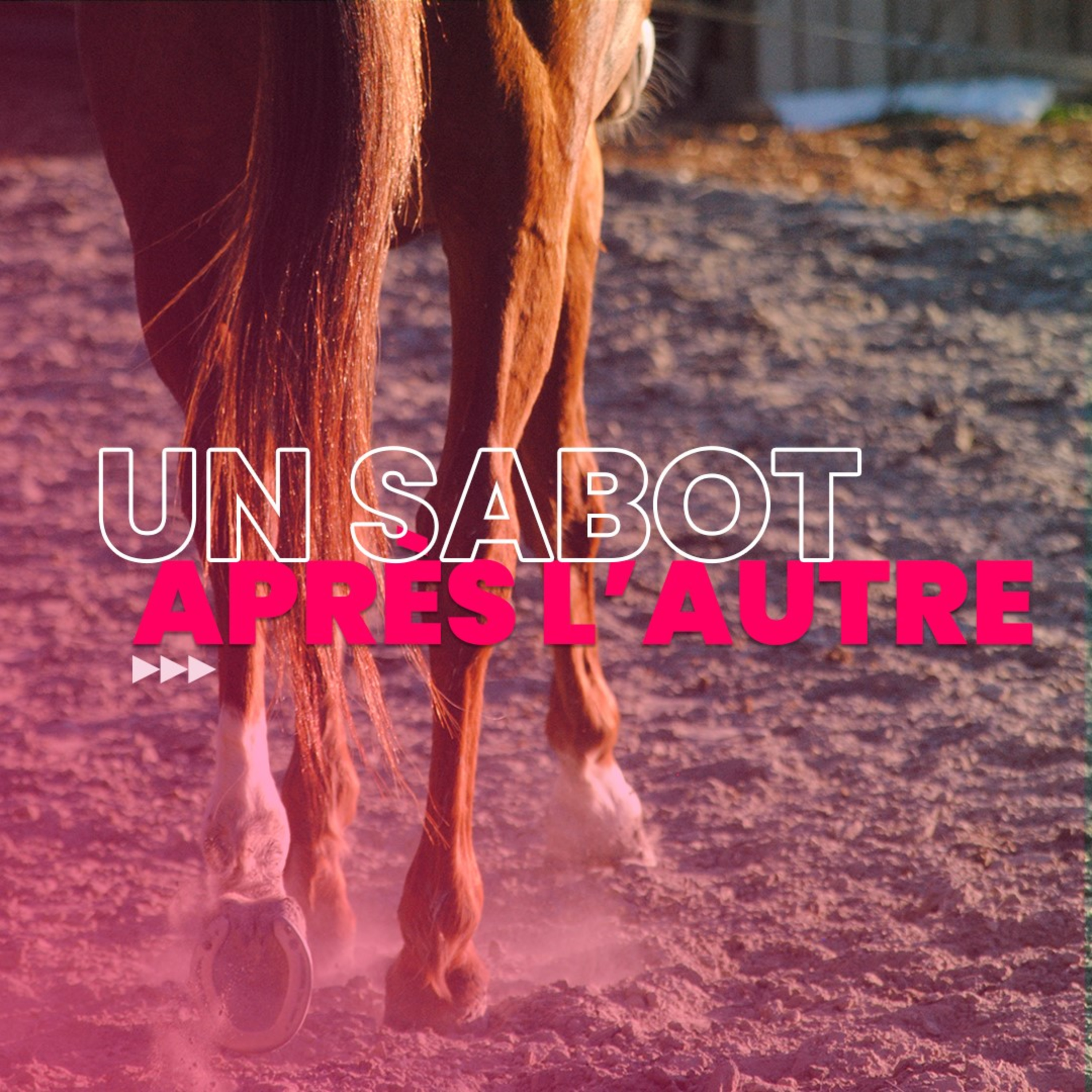 Episode 1 - Le travail au sol avec Maude Schaerrer