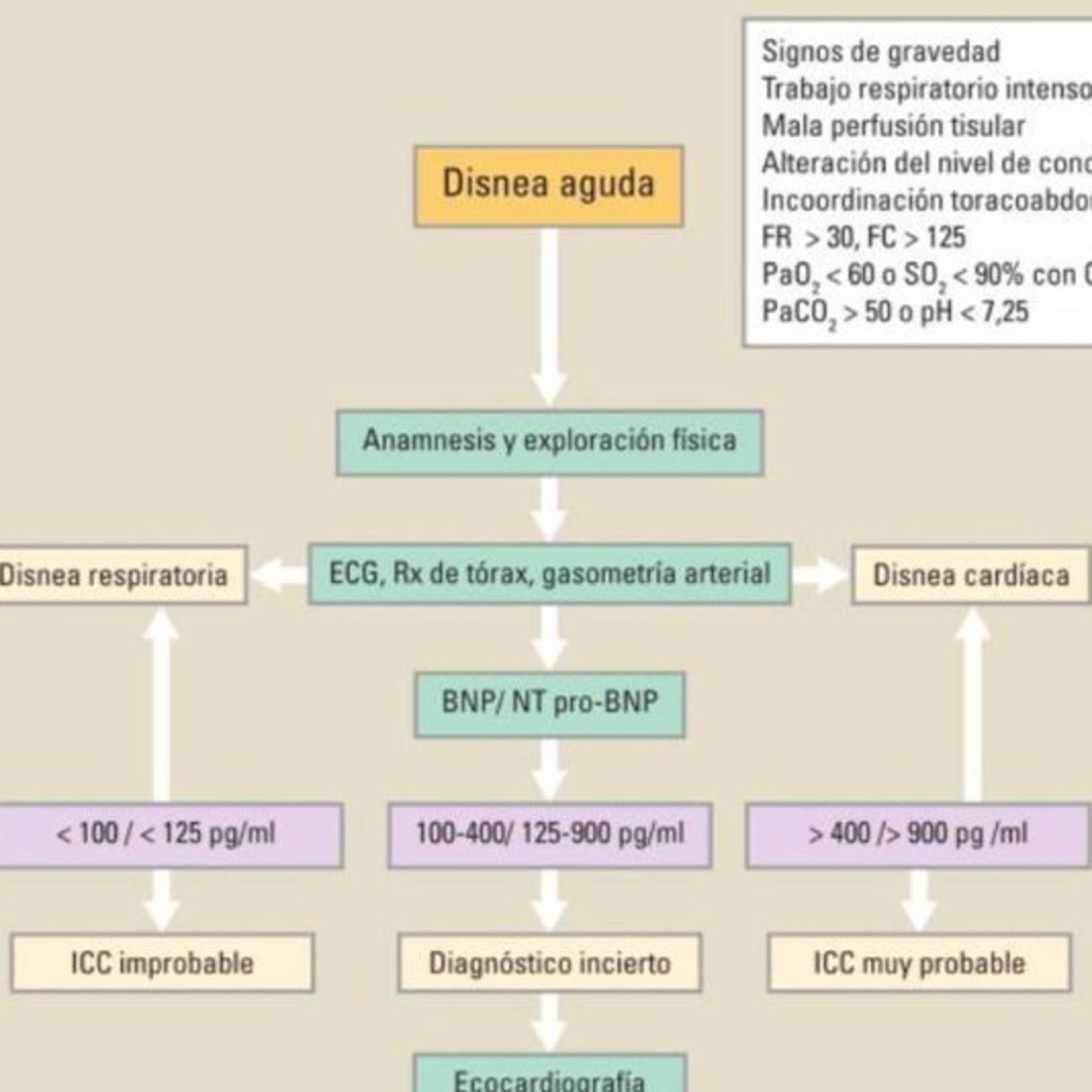 Medicina Interna de Agudos