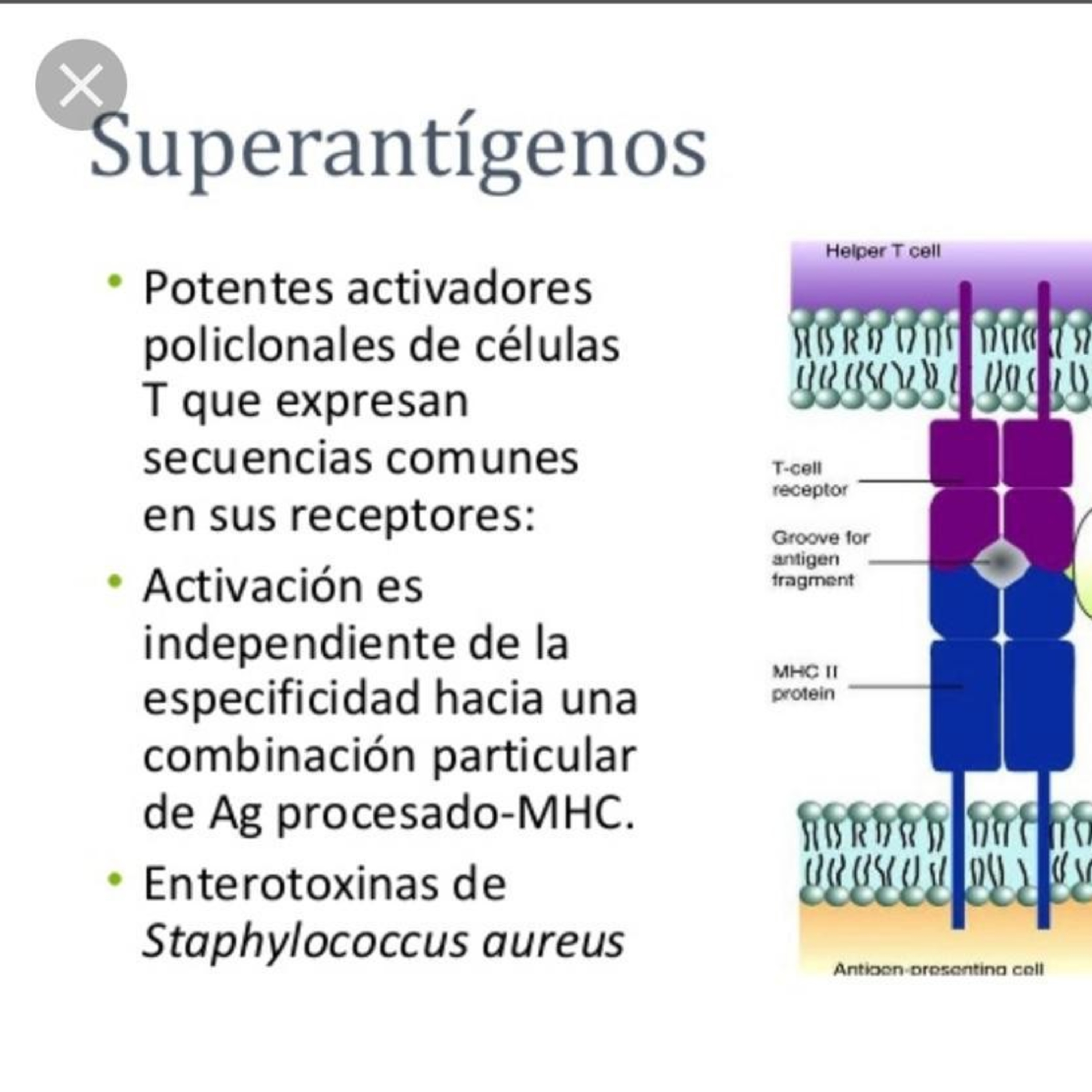 Medicina Interna de Agudos