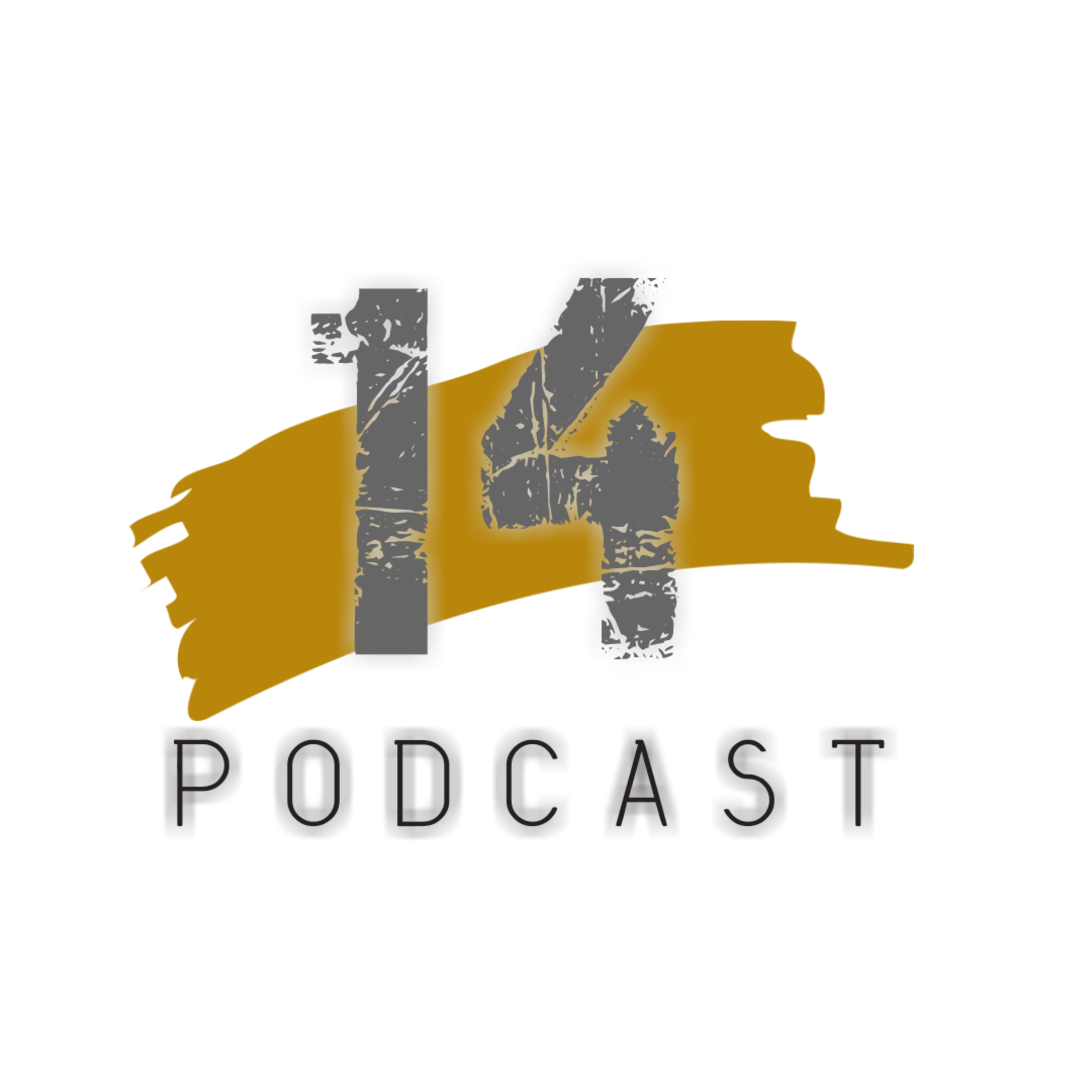PODCAST14