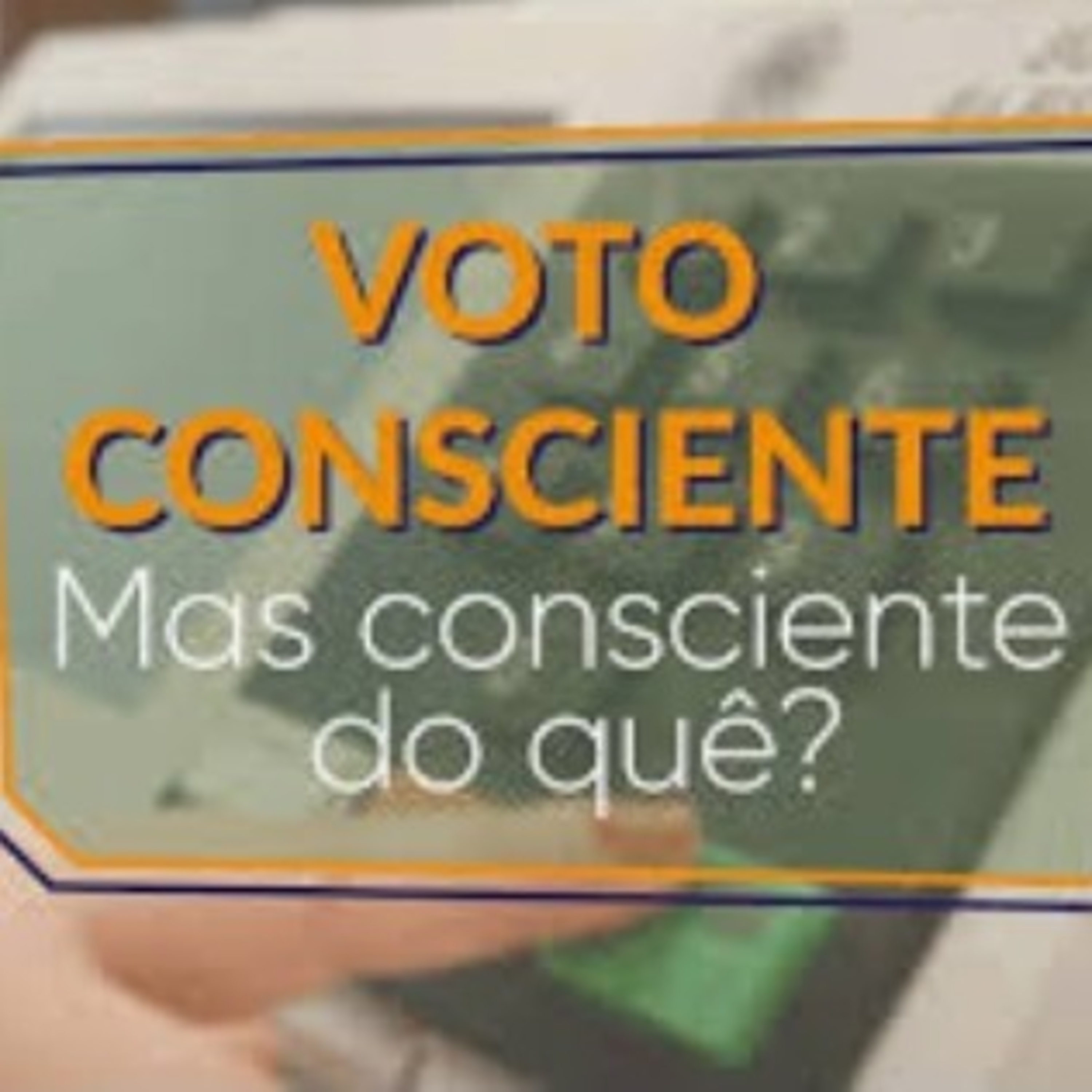 As Diretrizes de um(a) vereador(a)