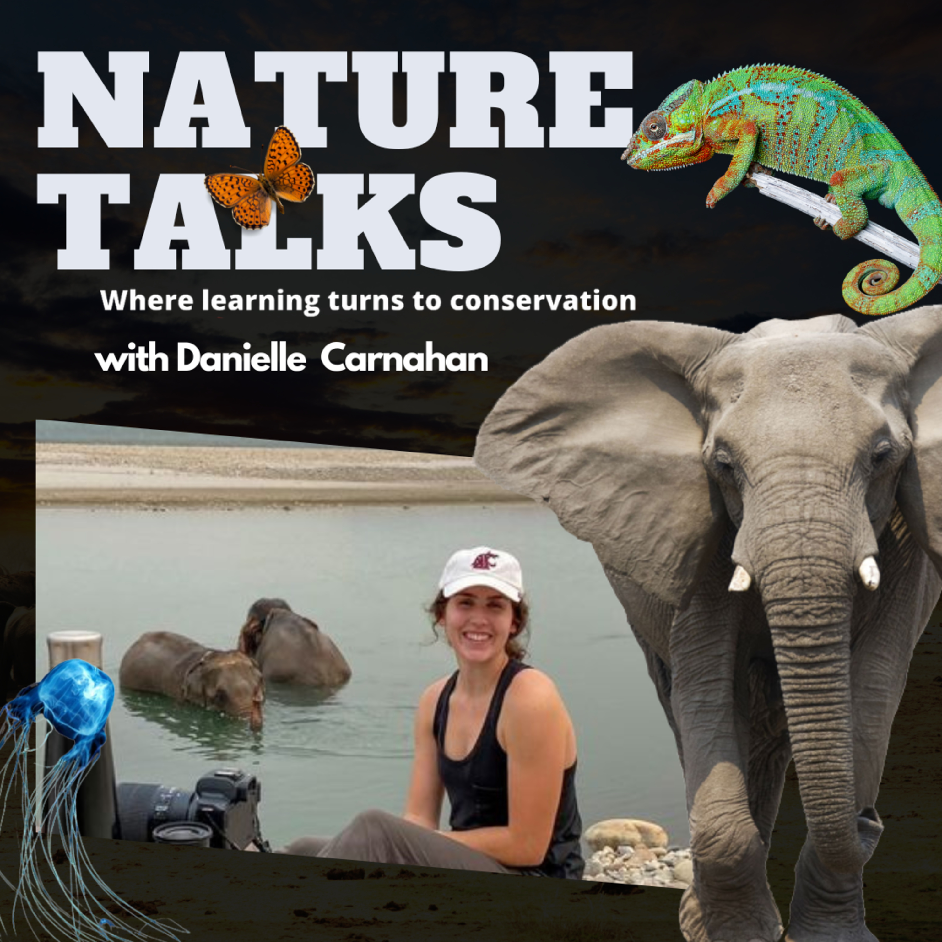 Danielle Carnahan : Wonders of the Asian Elephants