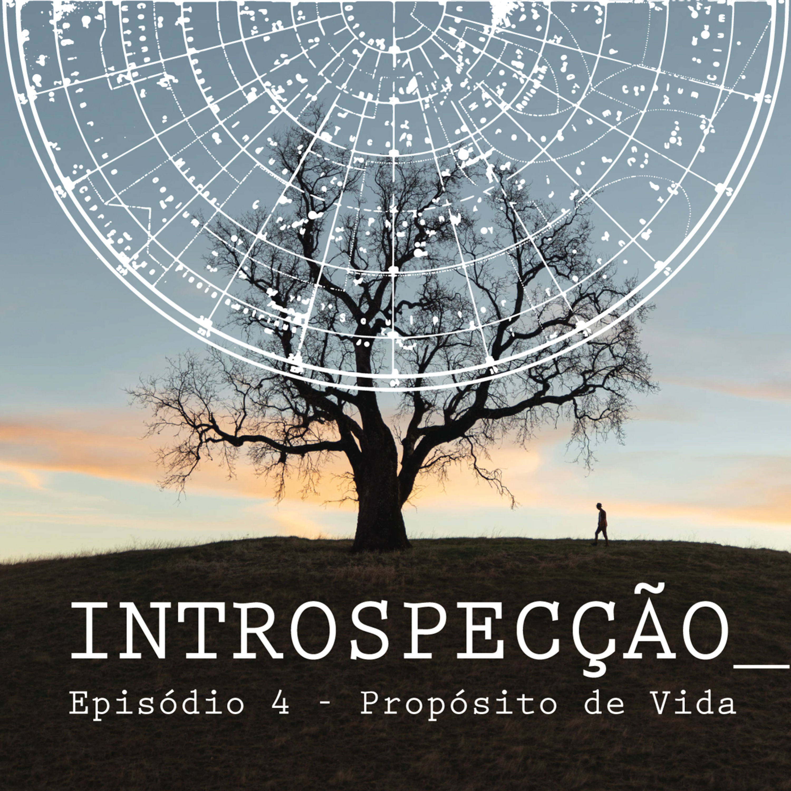 INTROSPECÇÃO com Leonardo Mansinhos