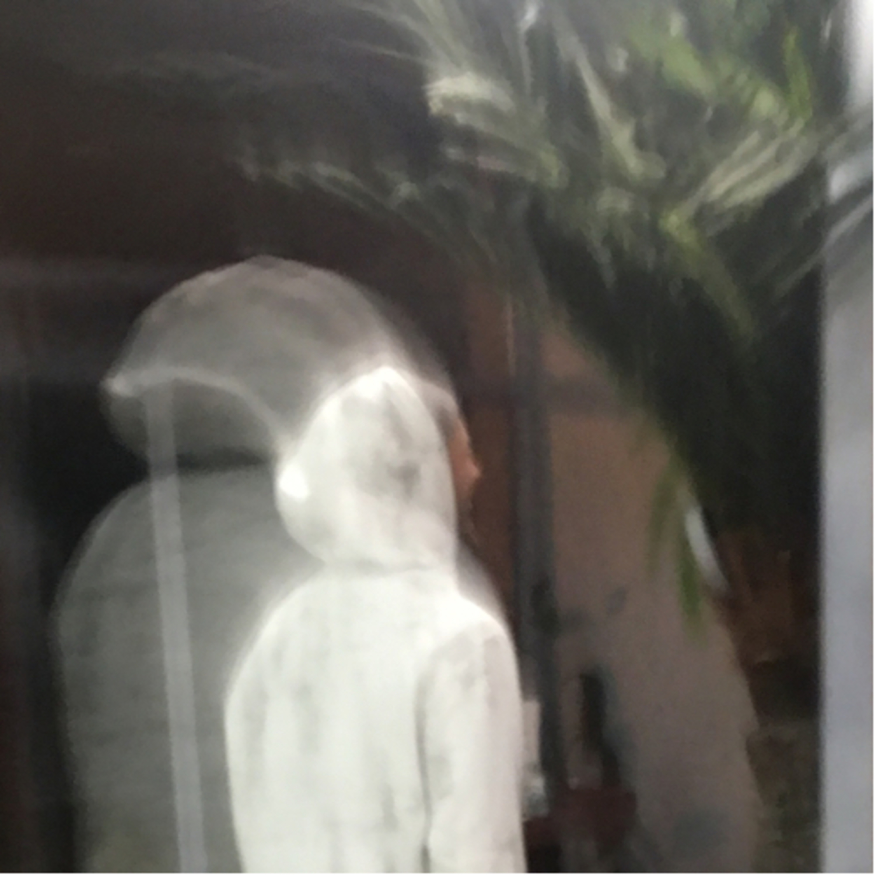 The George Anton Show