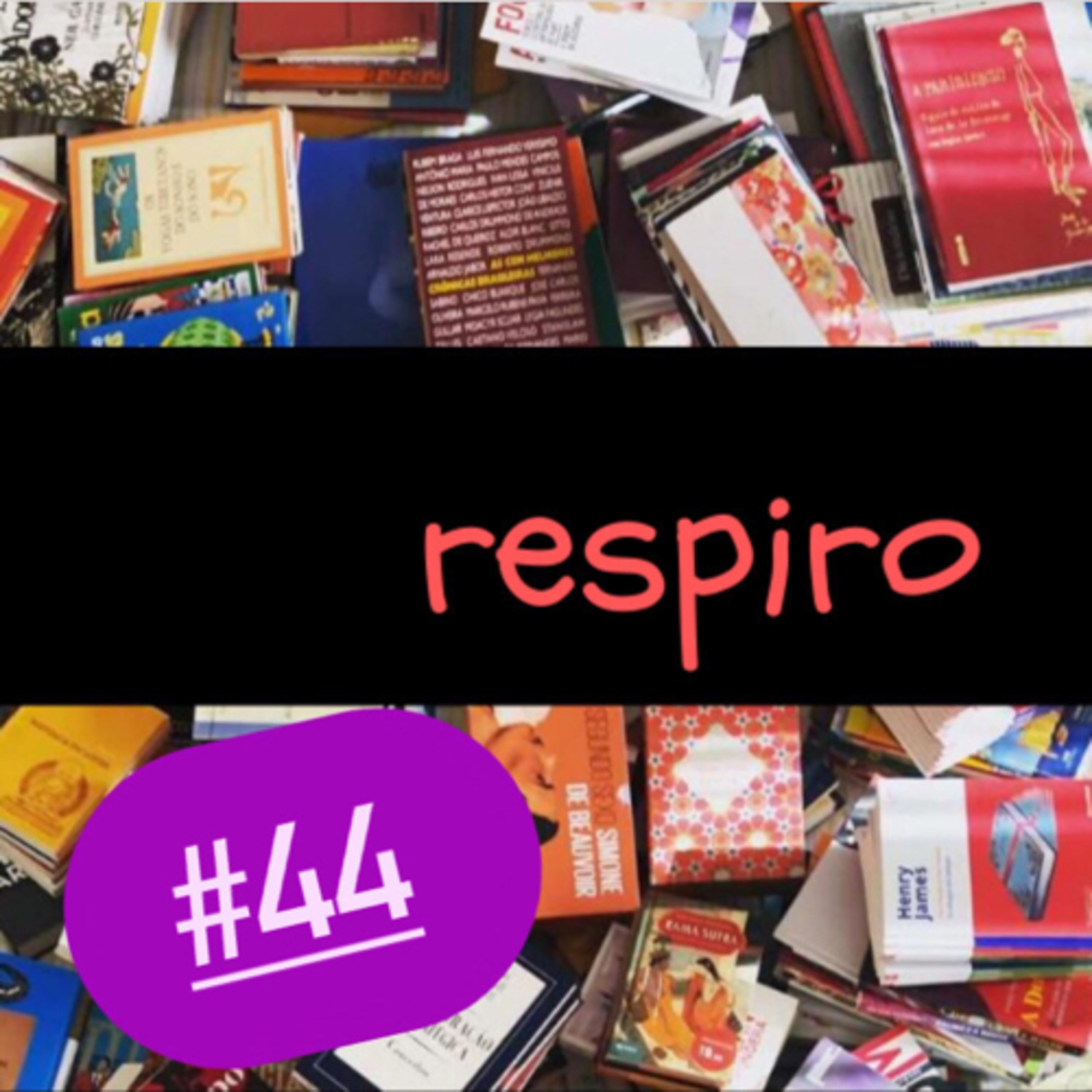 biblioteca de papel