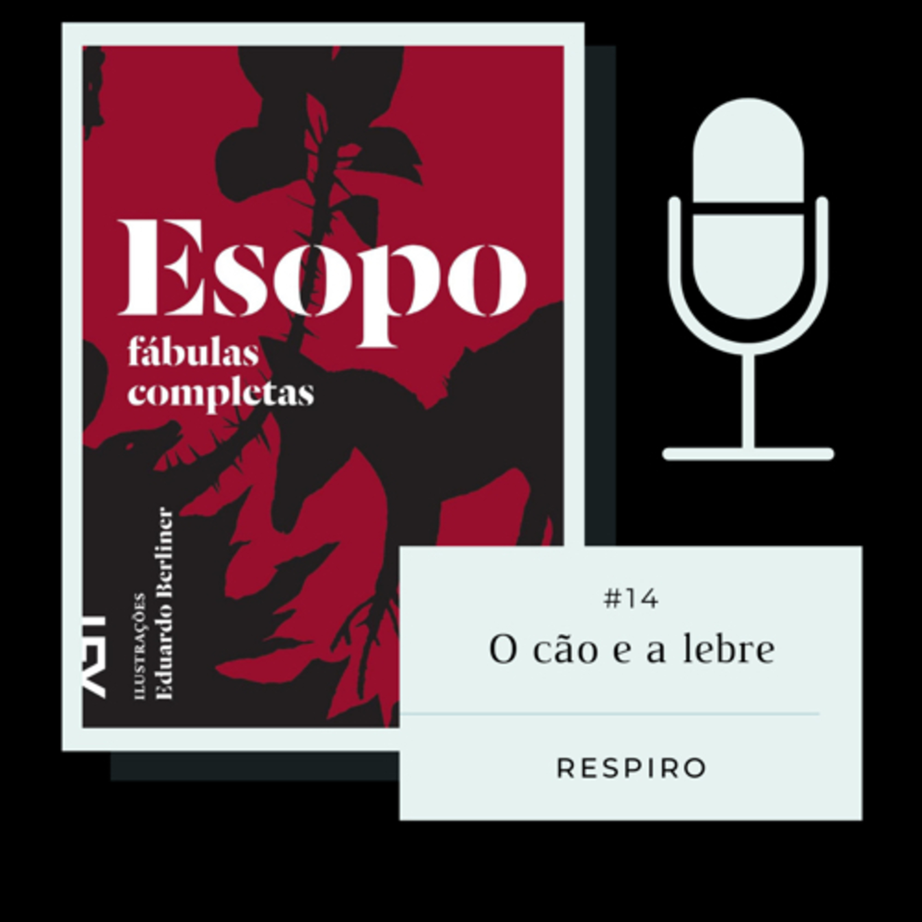 biblioteca de papel