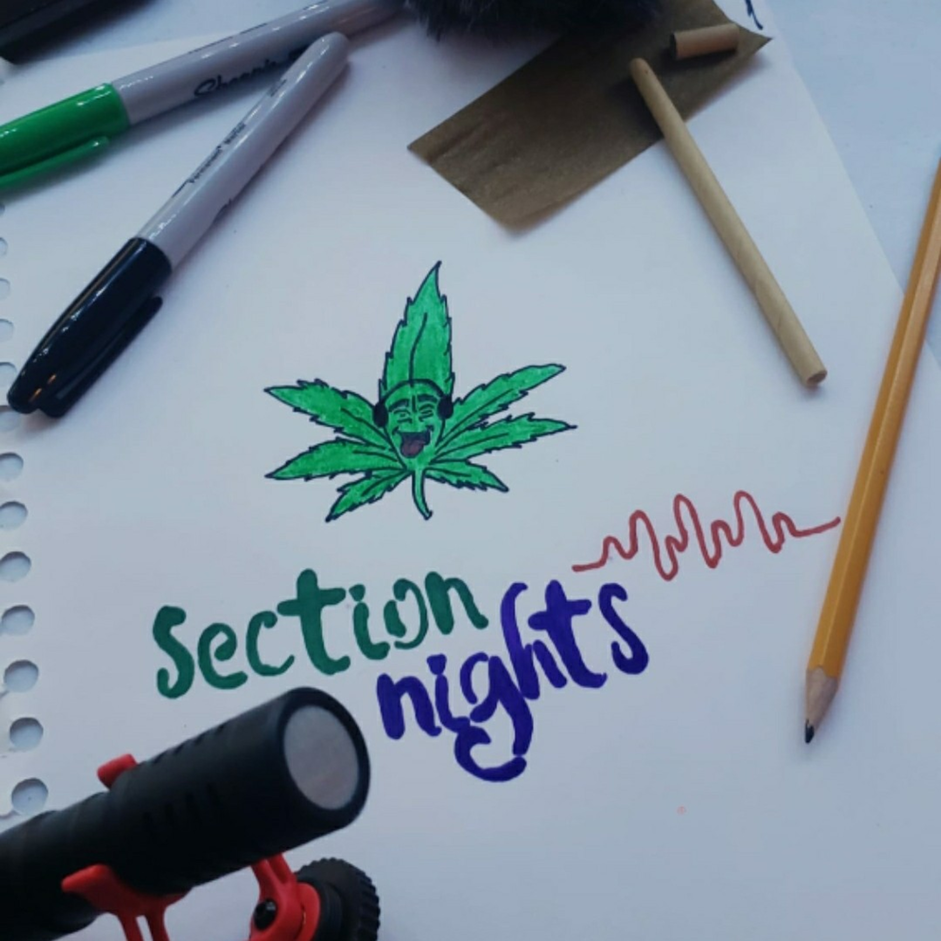 Section Nights