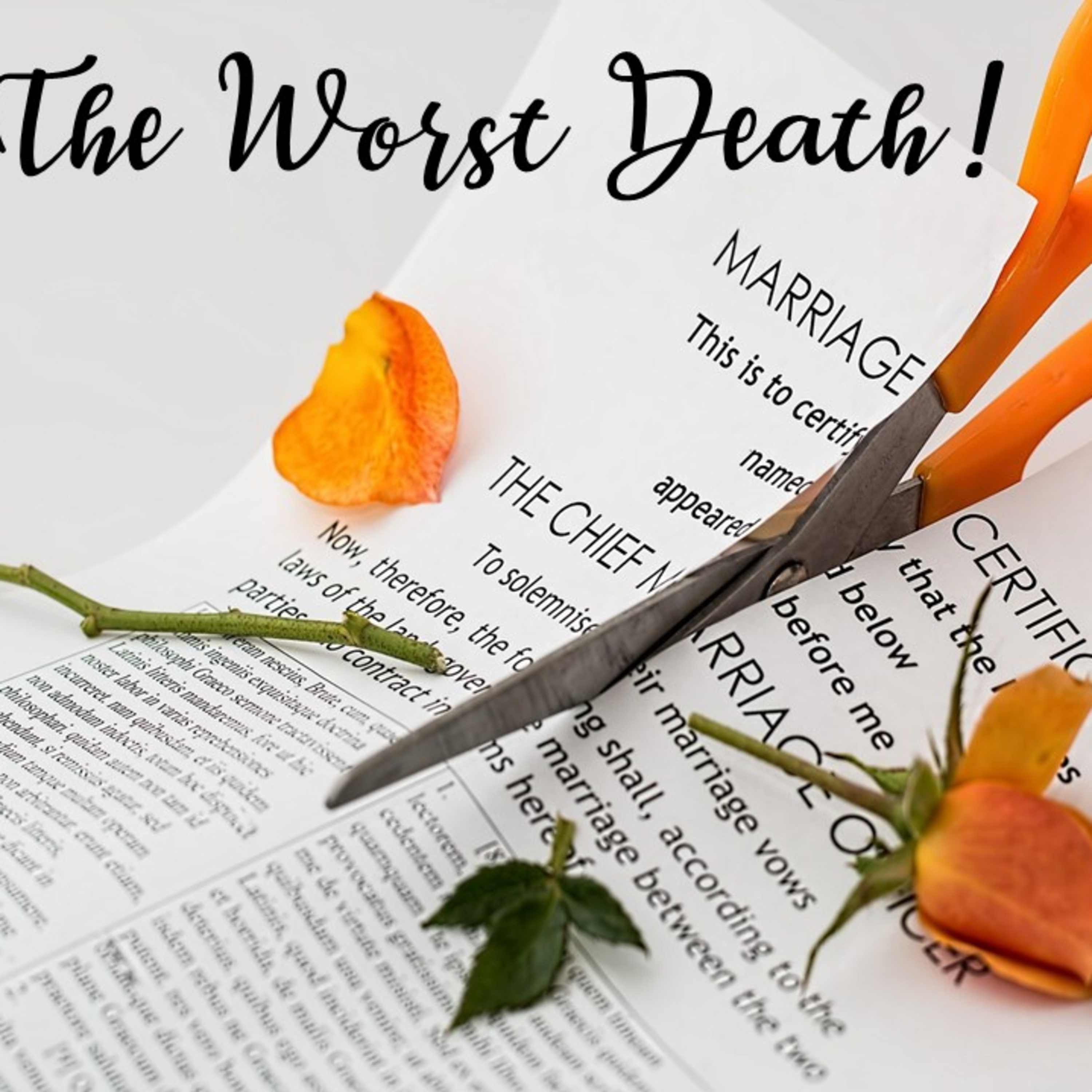 Family Series: Married On Purpose - The Worst Death  episode artwork