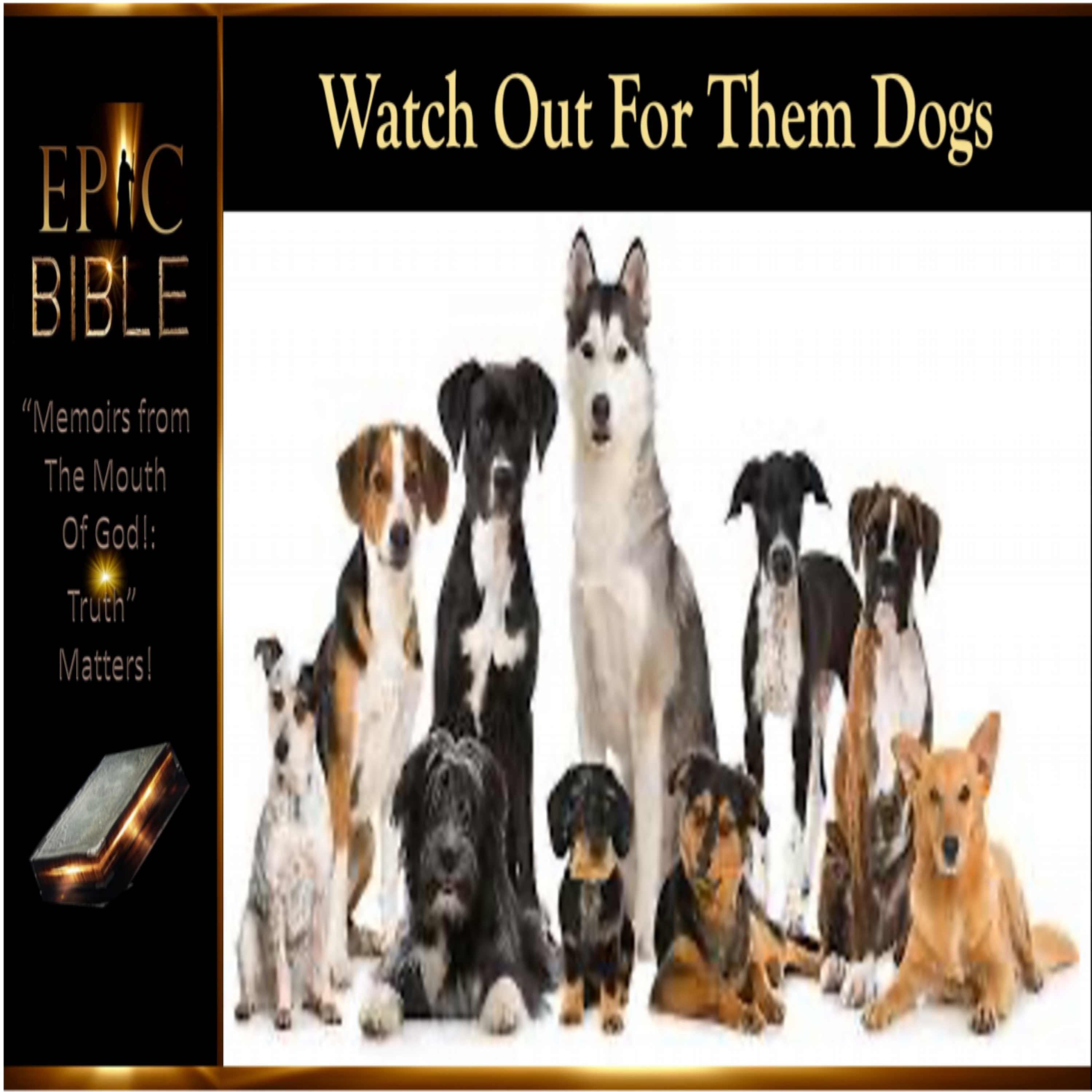 Epic Bible: Watch Out For Them Dogs - Minister Terry episode artwork
