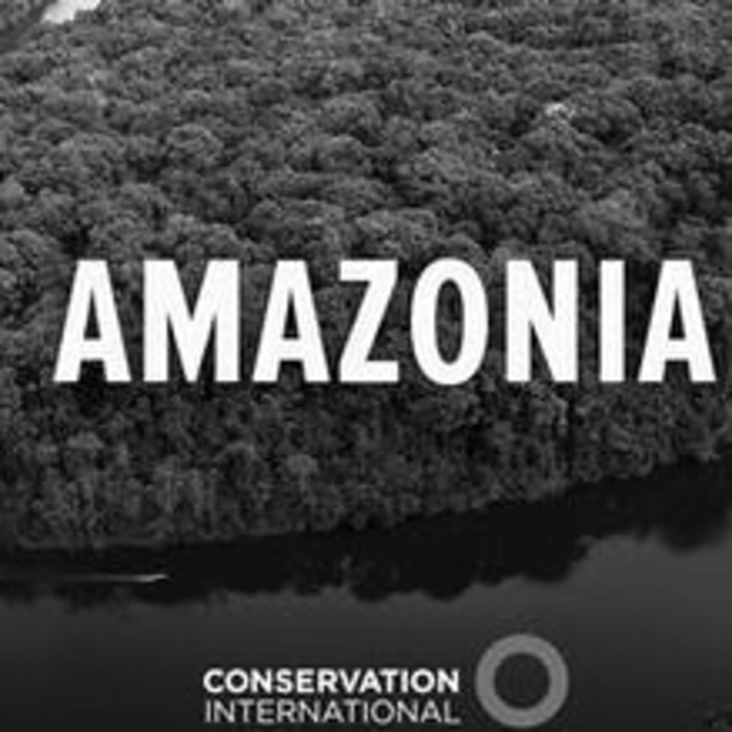 Amazonia  episode artwork
