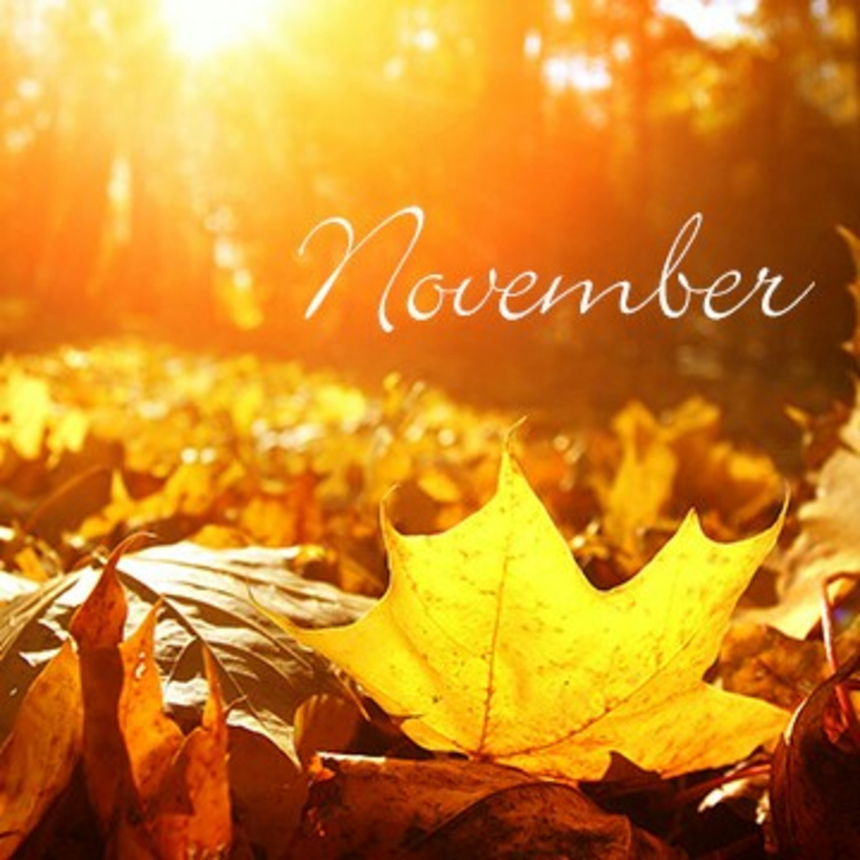November intuitions  episode artwork