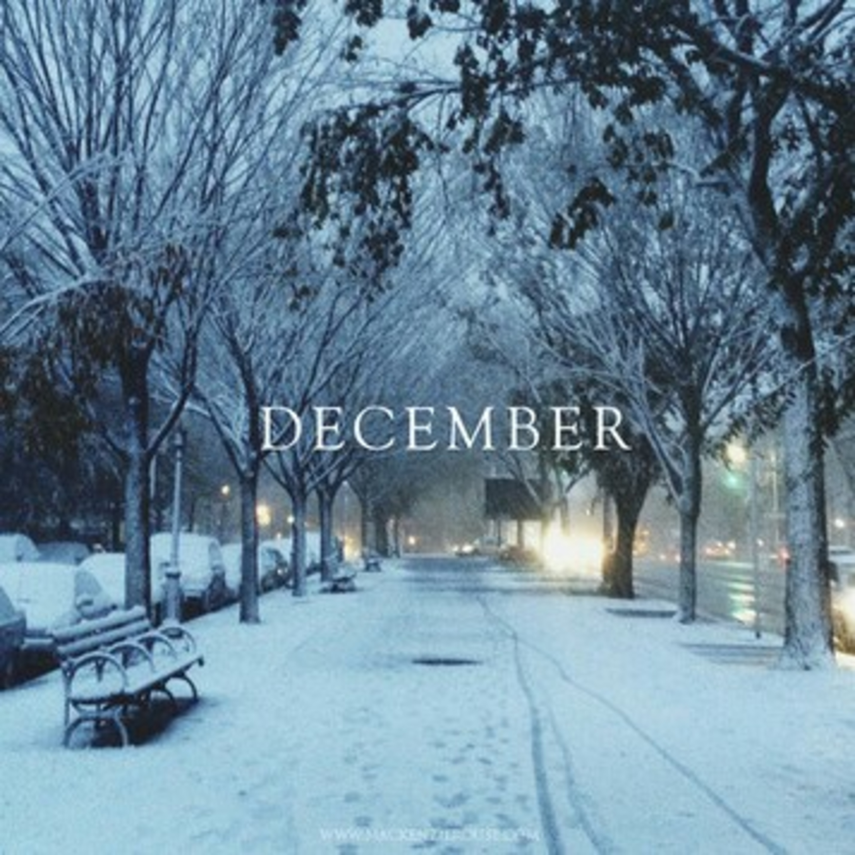 December intuitions  episode artwork