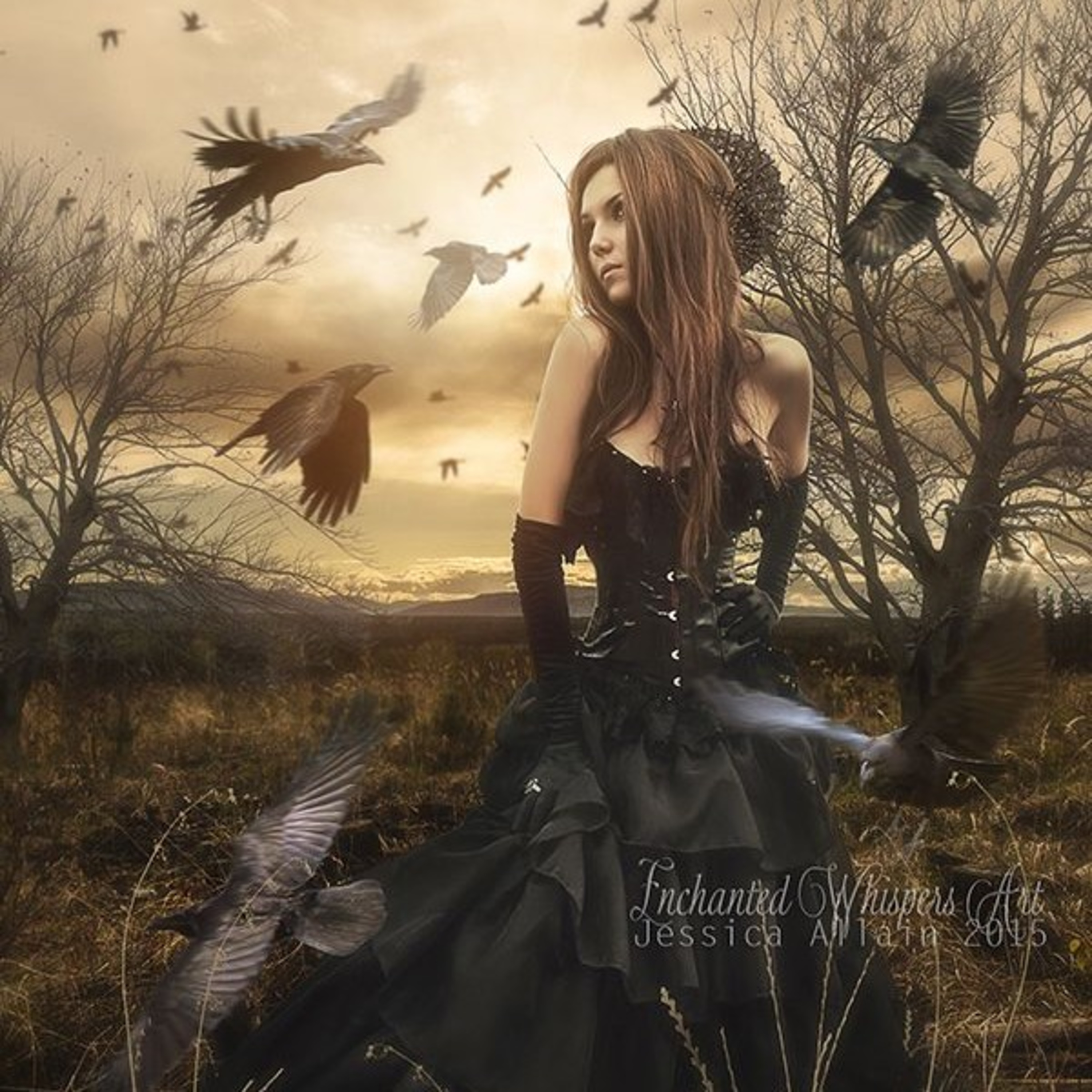 Dawn till Dusk episode artwork