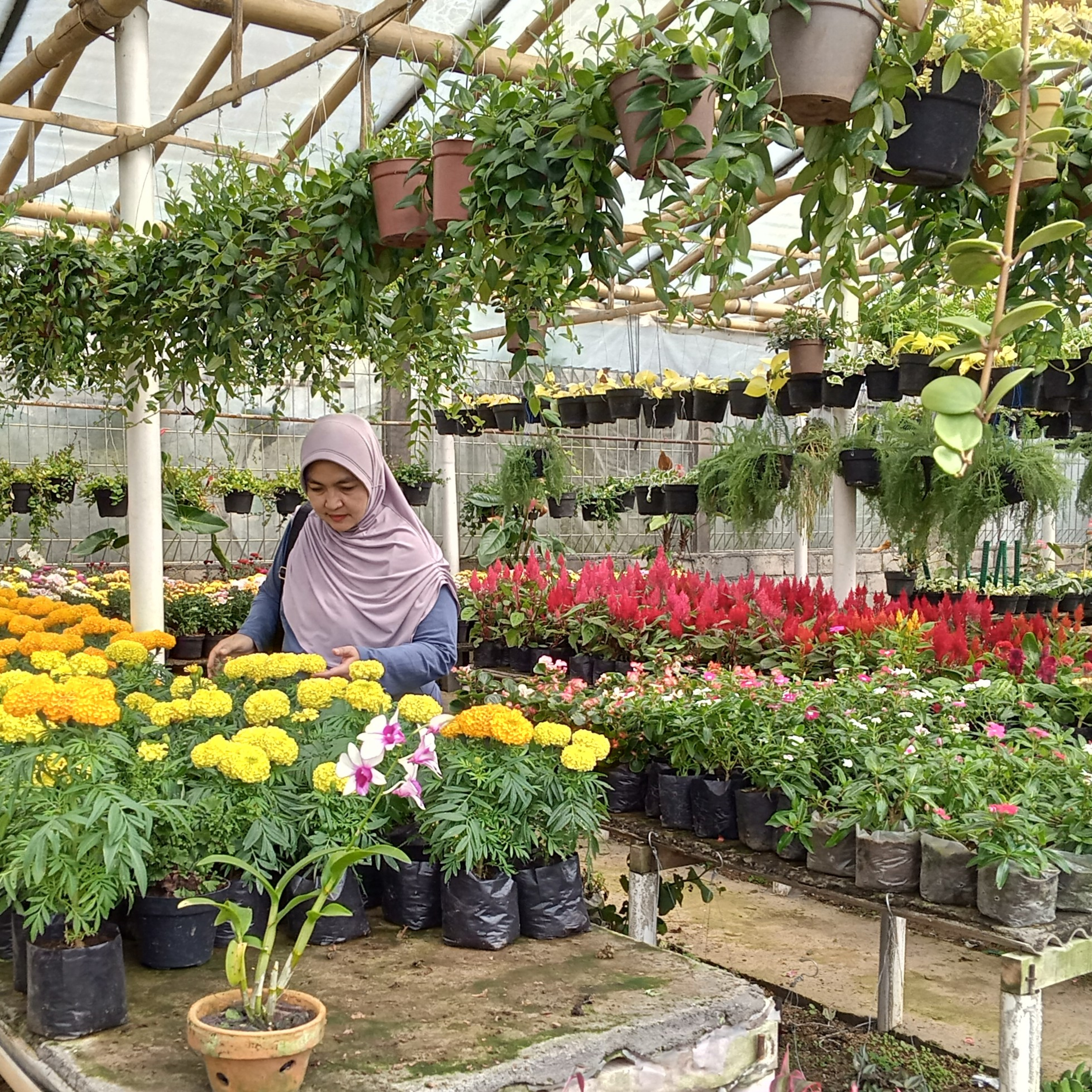 Lilik Hendaryati