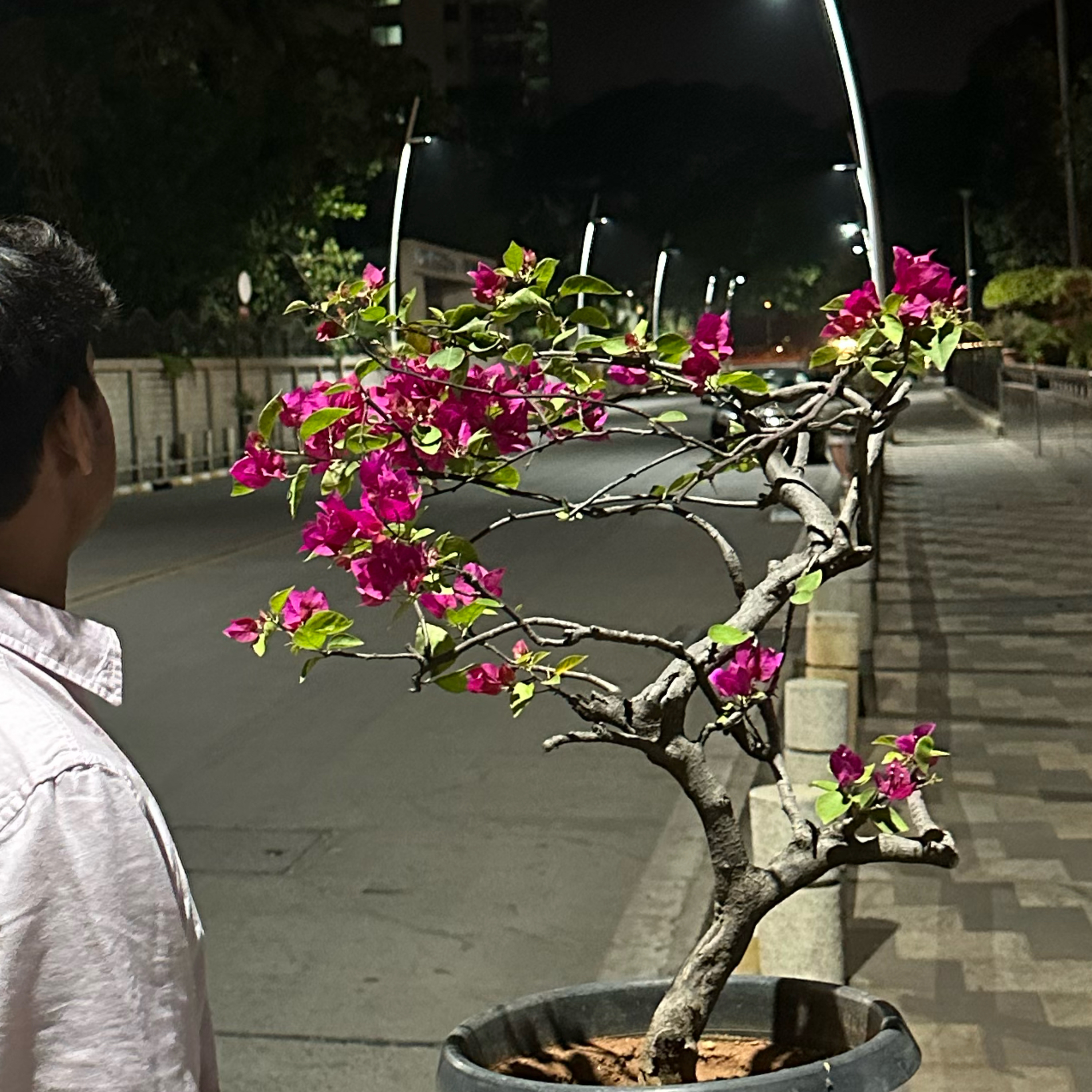 Zindagi Mere Nazariye Se