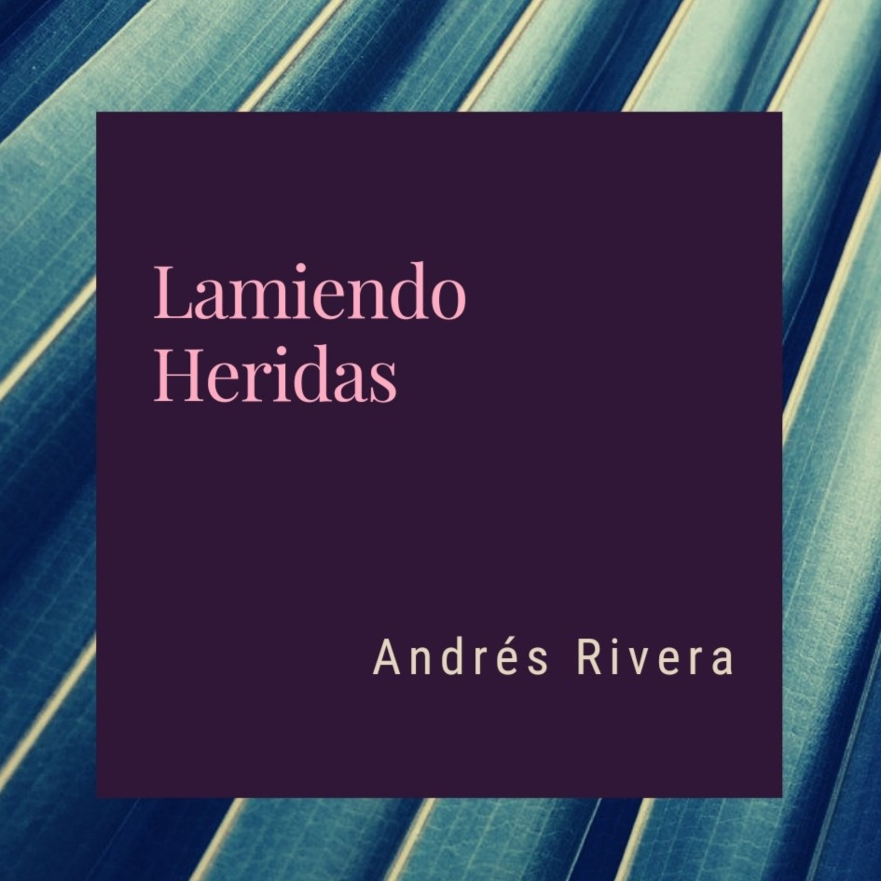 Andres Rivera