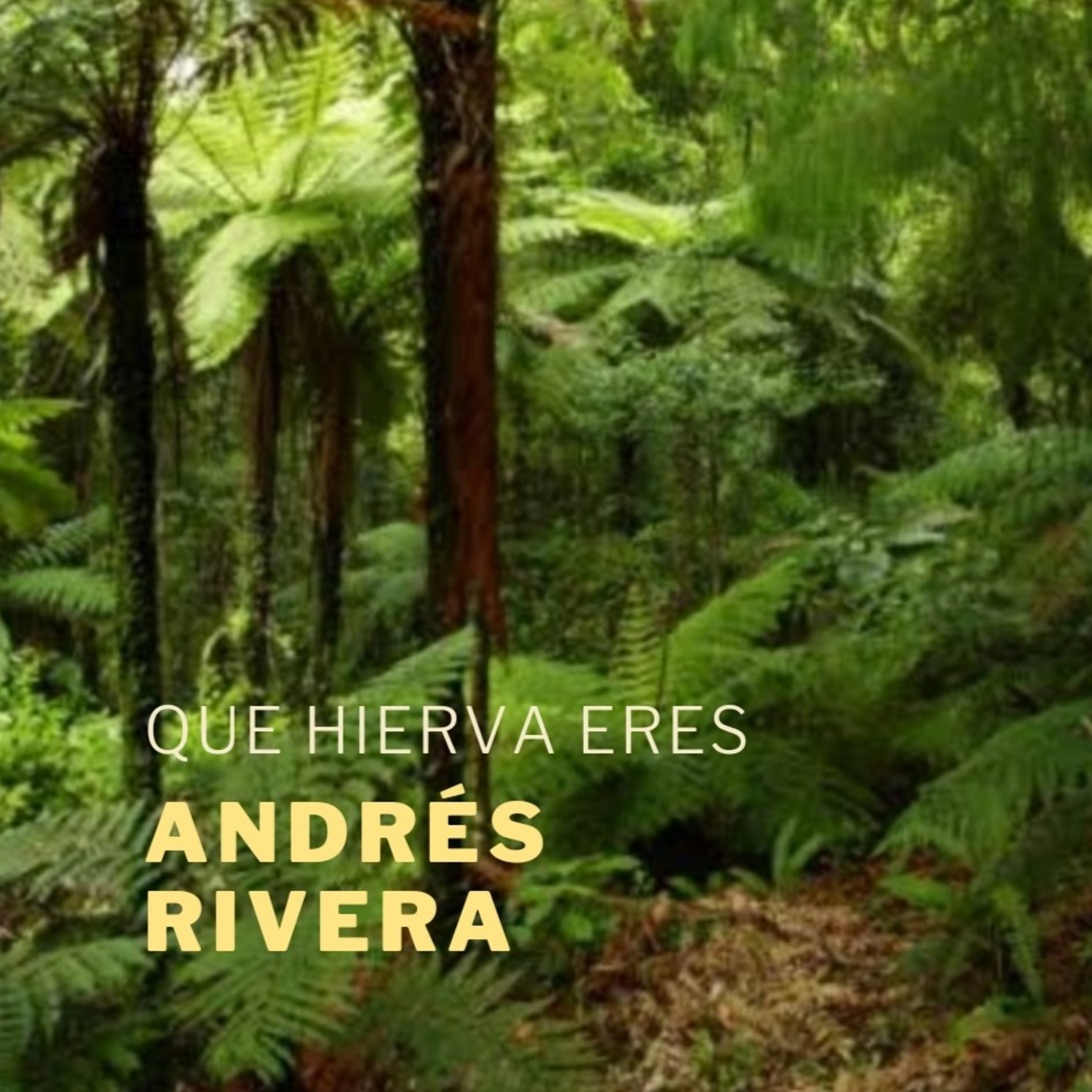 Andres Rivera
