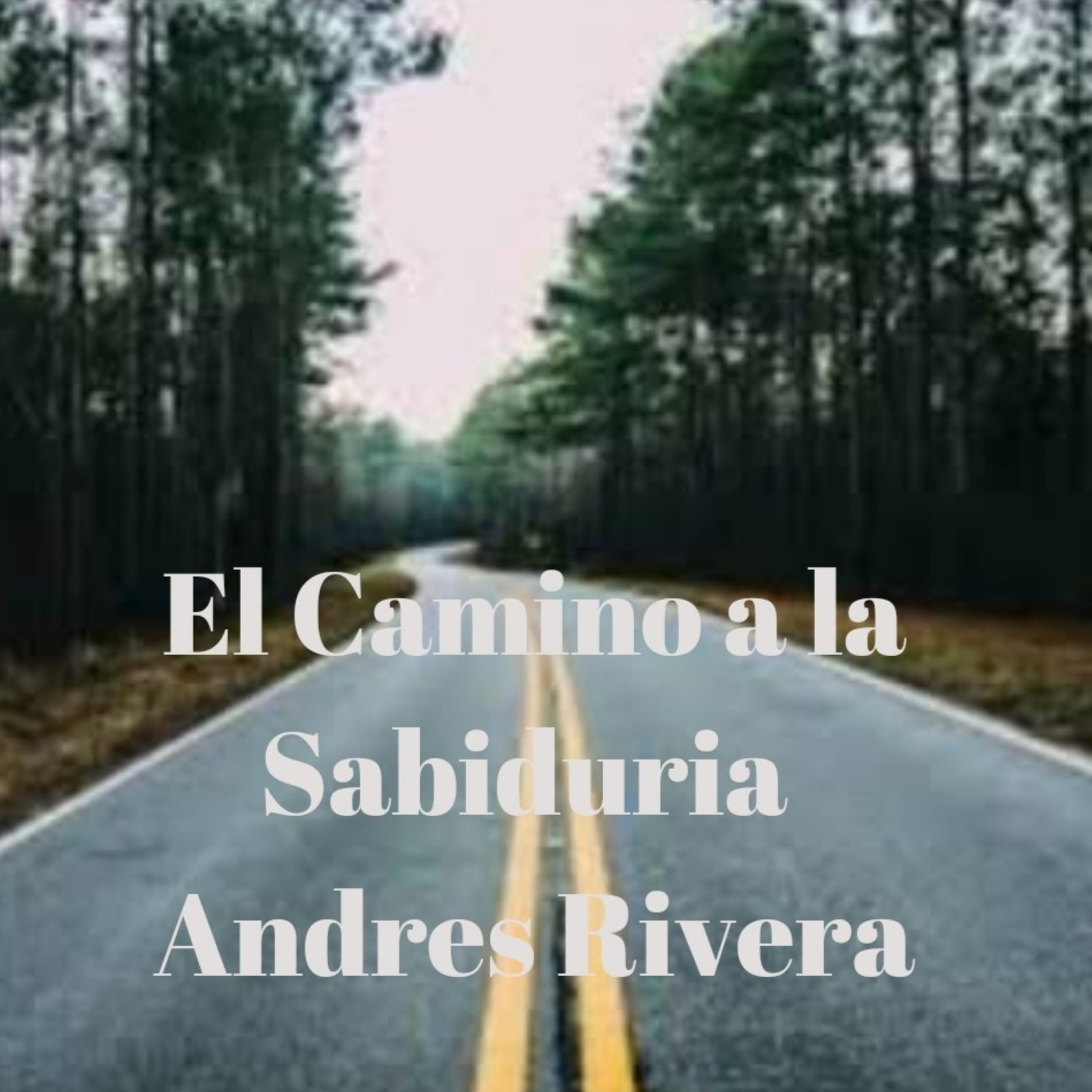 El Camino a la Sabiduria  episode artwork